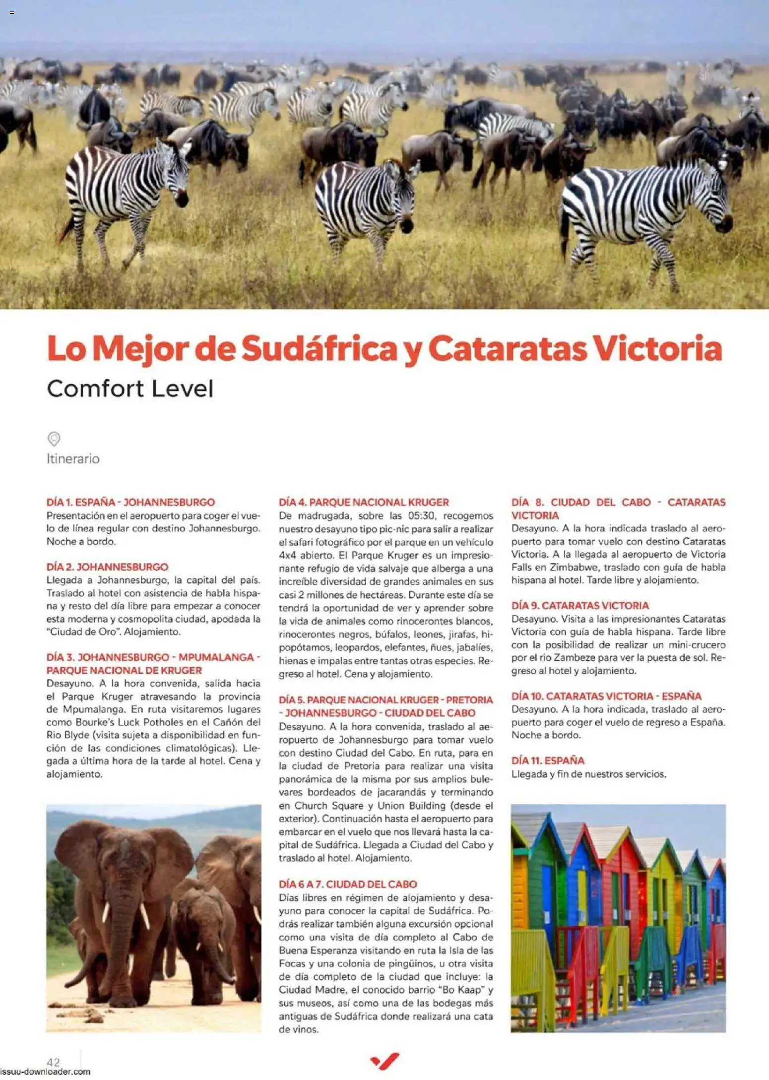 Halcón Viajes Comfort level 2026 │ válido desde el 04.06.2026 | Página: 42 | Productos: Colonia