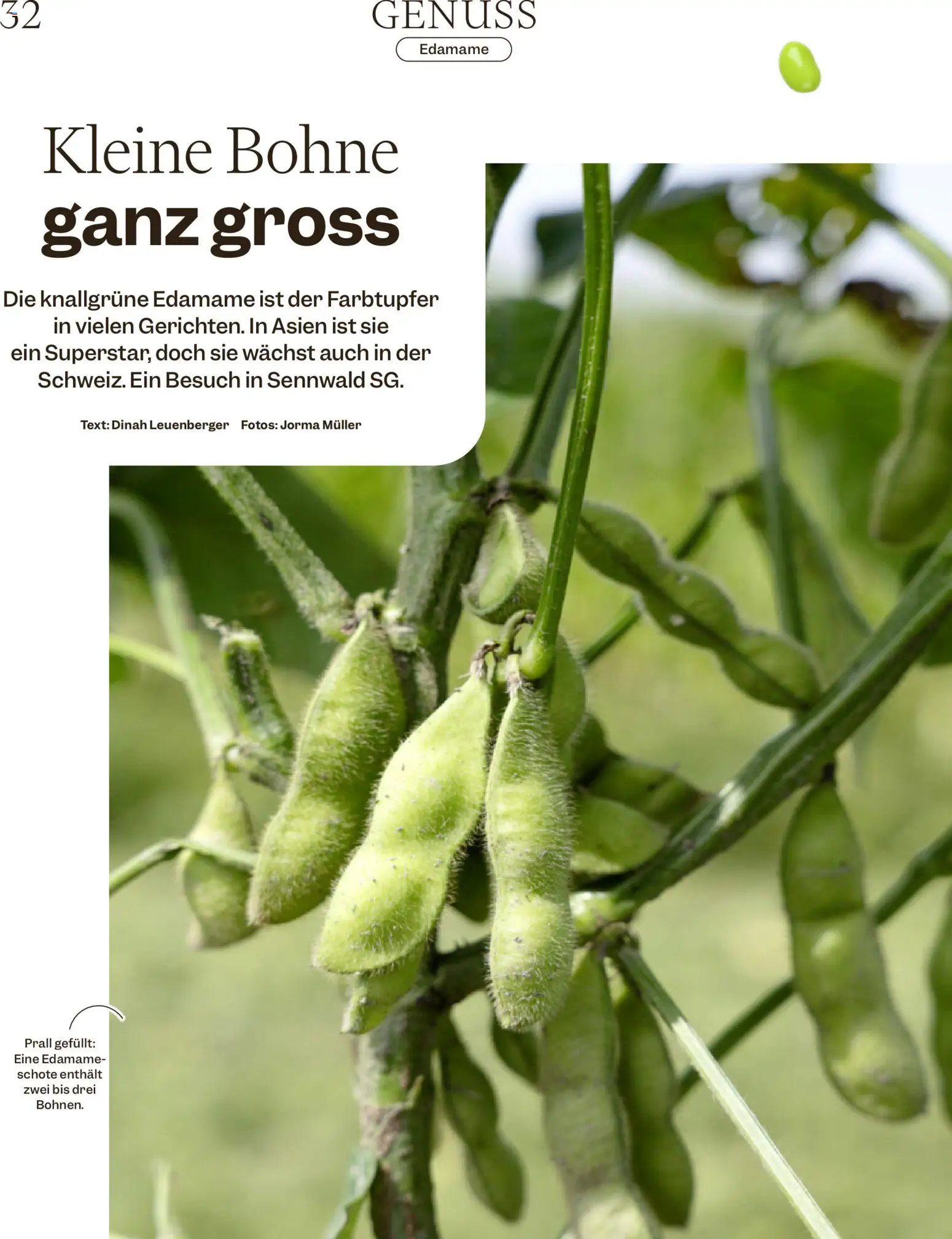 Migros aktionen Magazin – gültig ab 07.10.2026 | Seite: 32