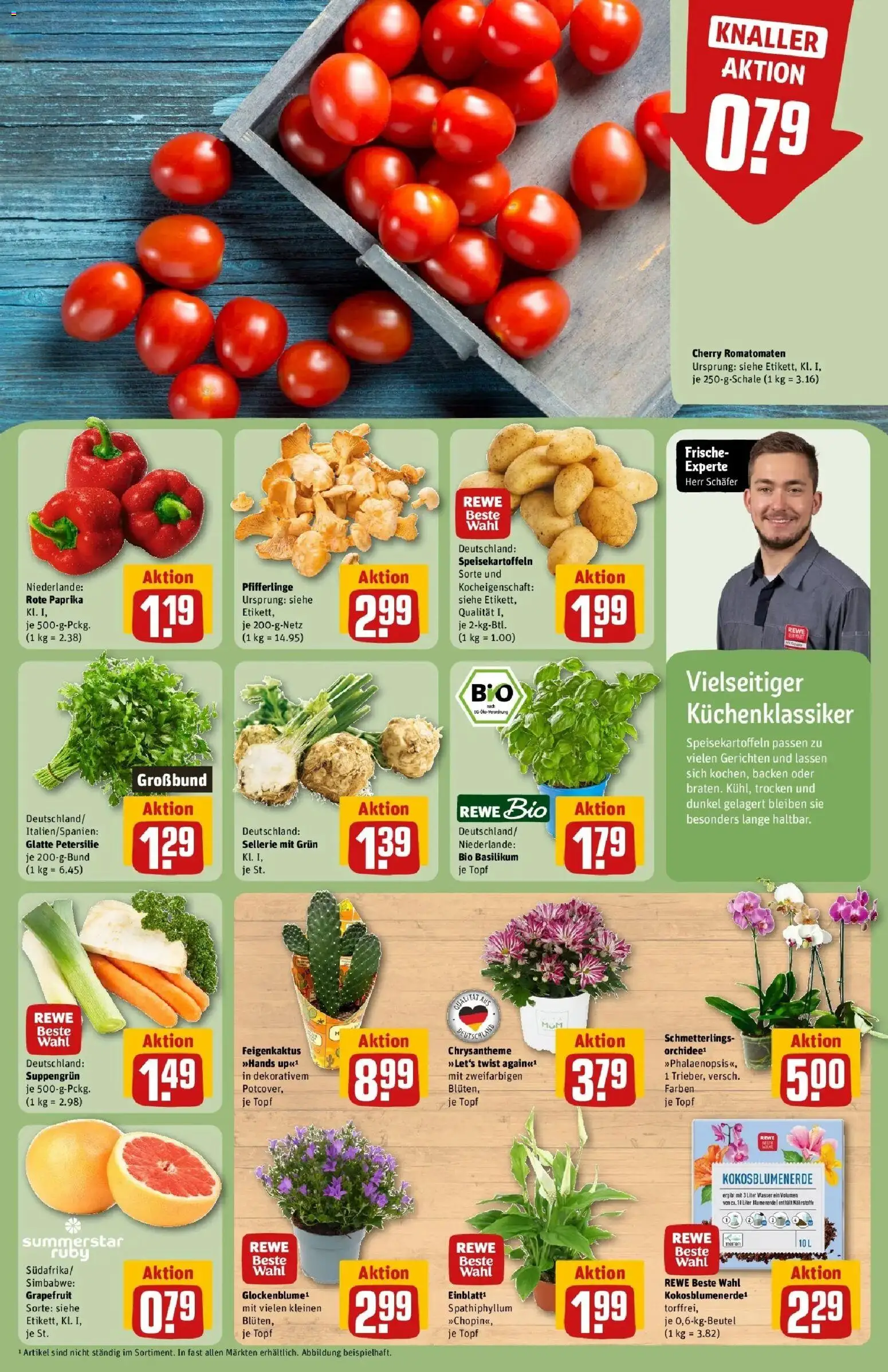 REWE Prospekt ab 10.08.2026 zum Blättern » Angebote | Seite: 5 | Produkte: Blumenerde, Wasser, Paprika, Pfifferlinge
