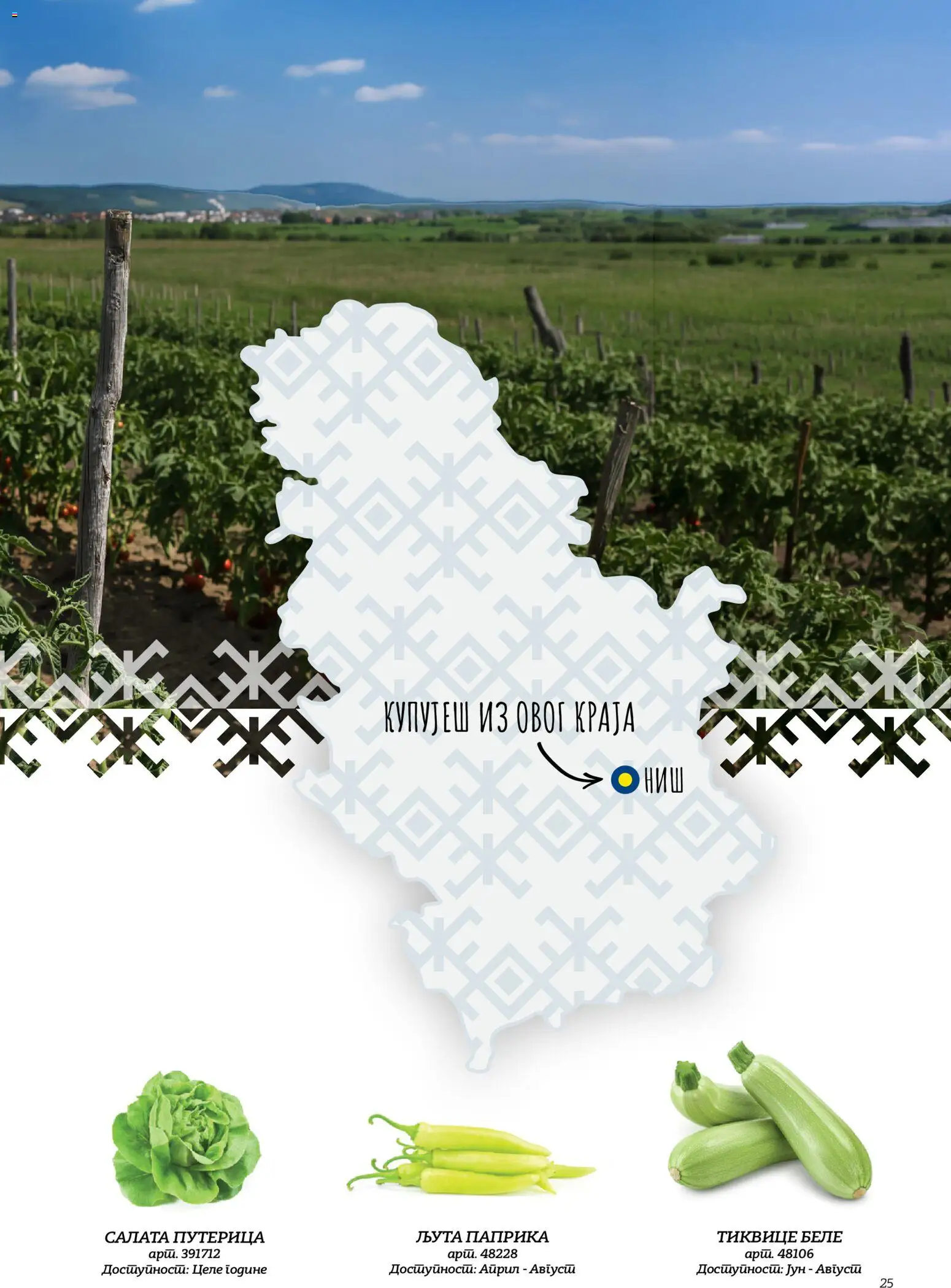 Metro katalog - važi od 02.10.2026 | Strana: 24