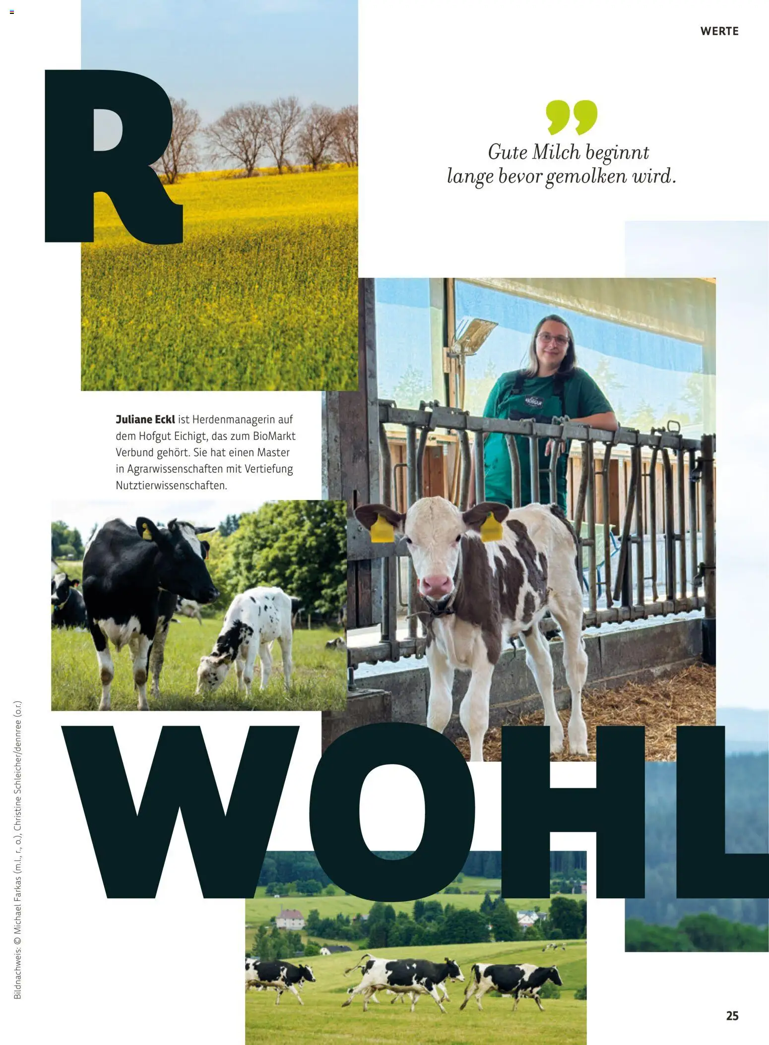 BioMarkt Kreo Magazin – gültig ab 26.10.2026 | Seite: 25 | Produkte: Milch