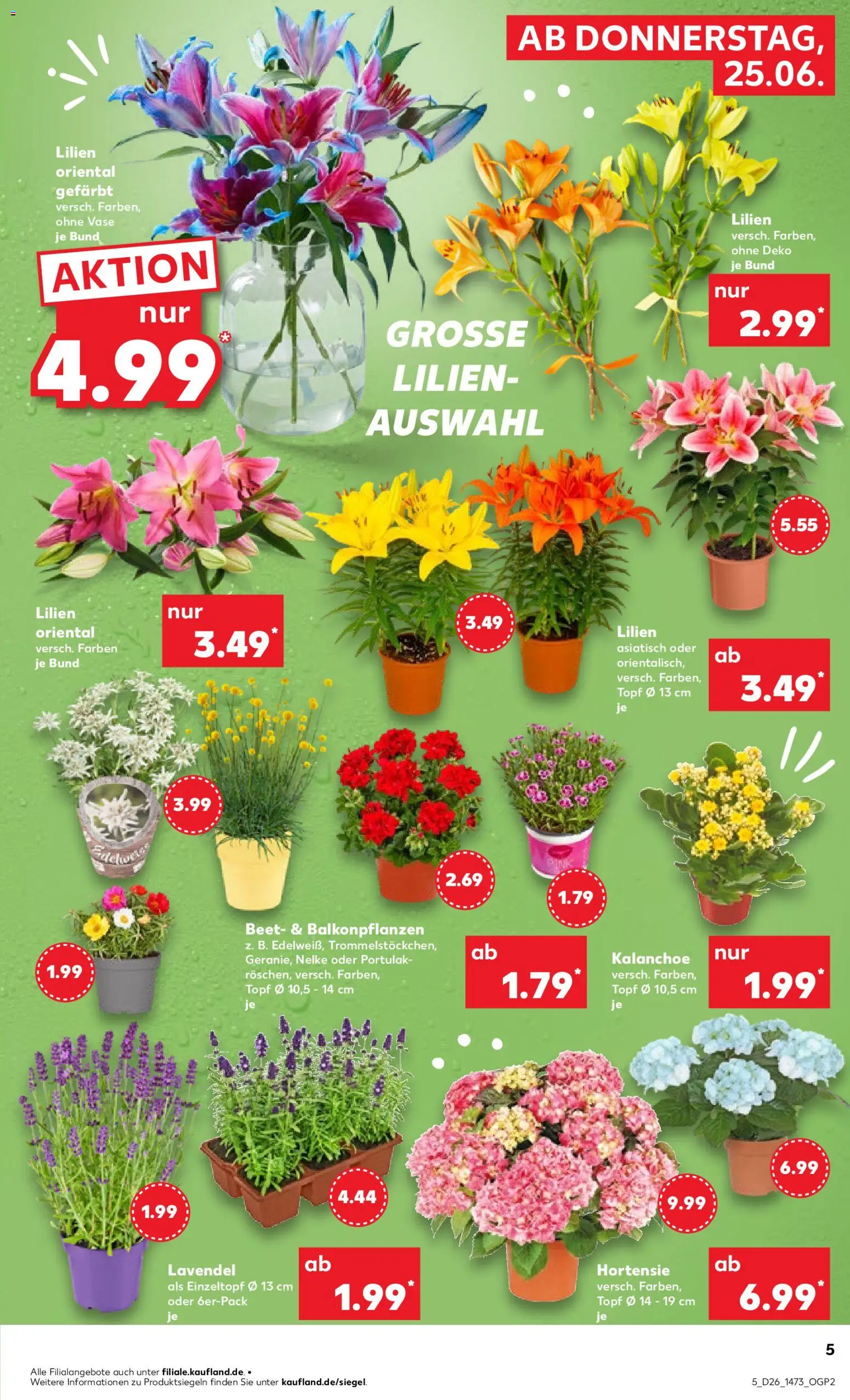 Kaufland Prospekt Berlin – gültig ab 25.06.2026 | Seite: 5