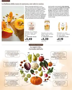 Anteprima del volantino Borello Supermercati volantino valido a partire dal 19/10/2026 | Pagina: 6 | Prodotti: Scrub, Kiwi, Acqua, Olio