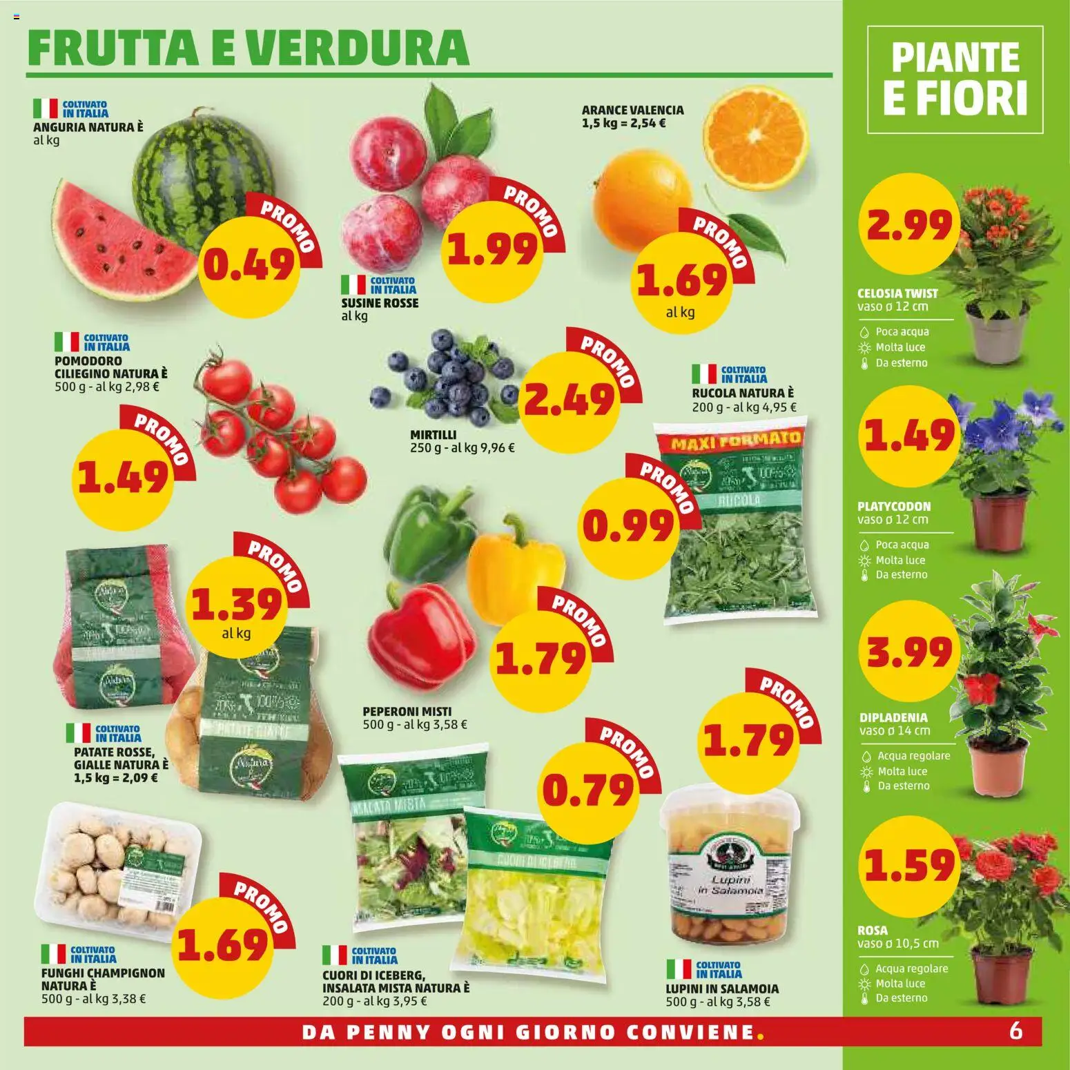 Volantino PENNY del 16/07/2026 | Pagina: 6 | Prodotti: Lupini, Pomodoro, Funghi, Anguria