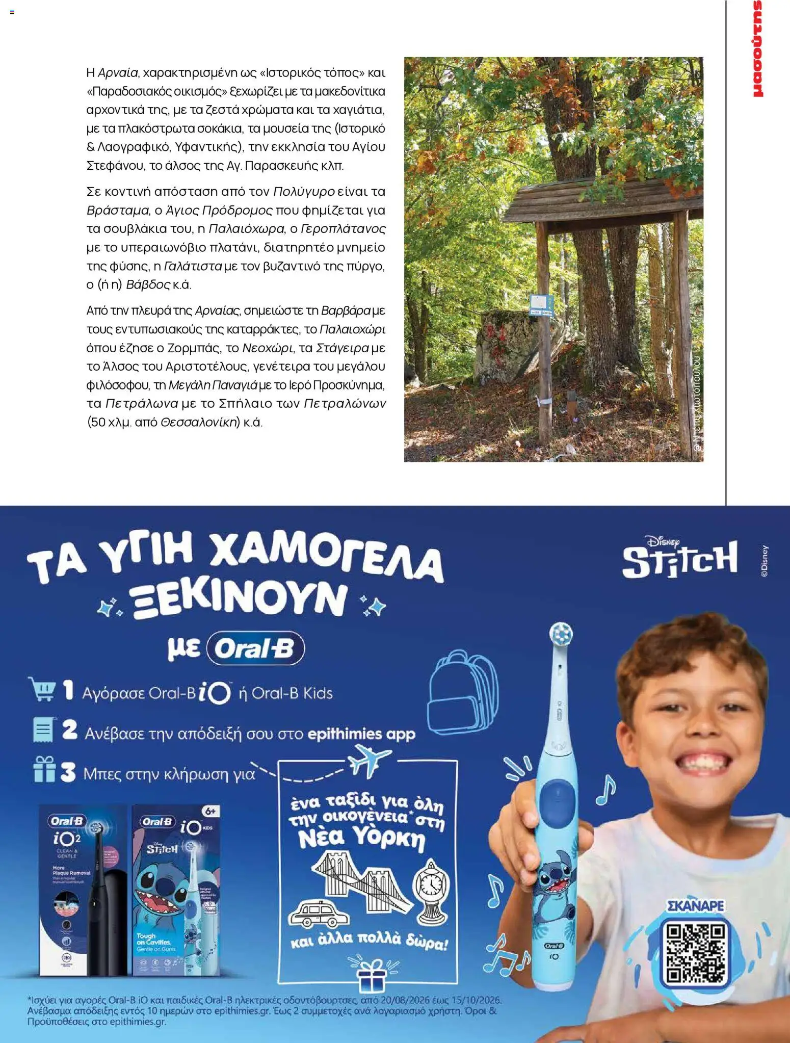 Μασούτης Φυλλάδιο - σε ισχύ από 25/08/2026 | Σελίδα: 17