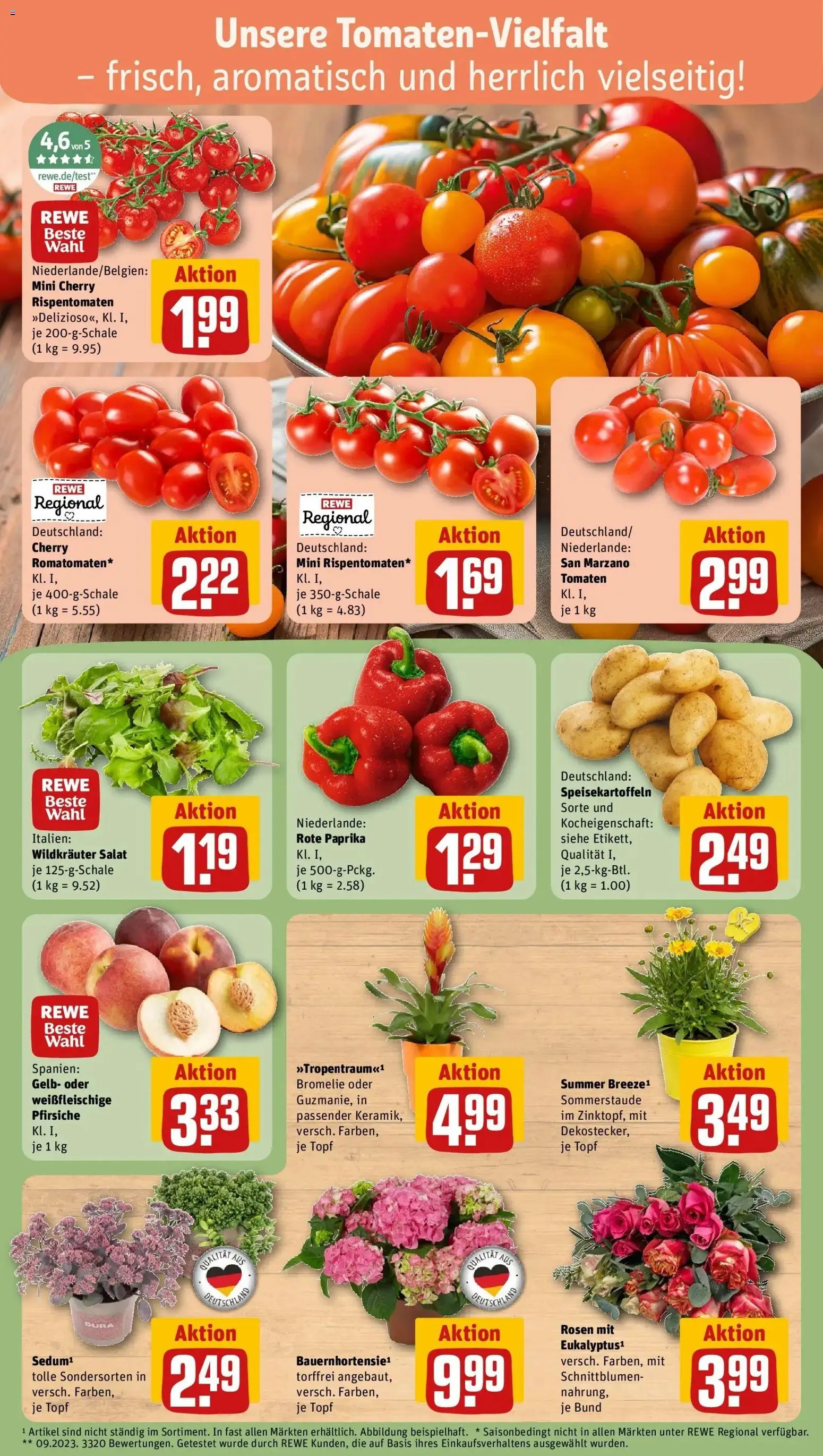 Rewe Prospekt Mannheim – gültig ab 13.07.2026 | Seite: 7 | Produkte: Tomaten, Paprika, Salat