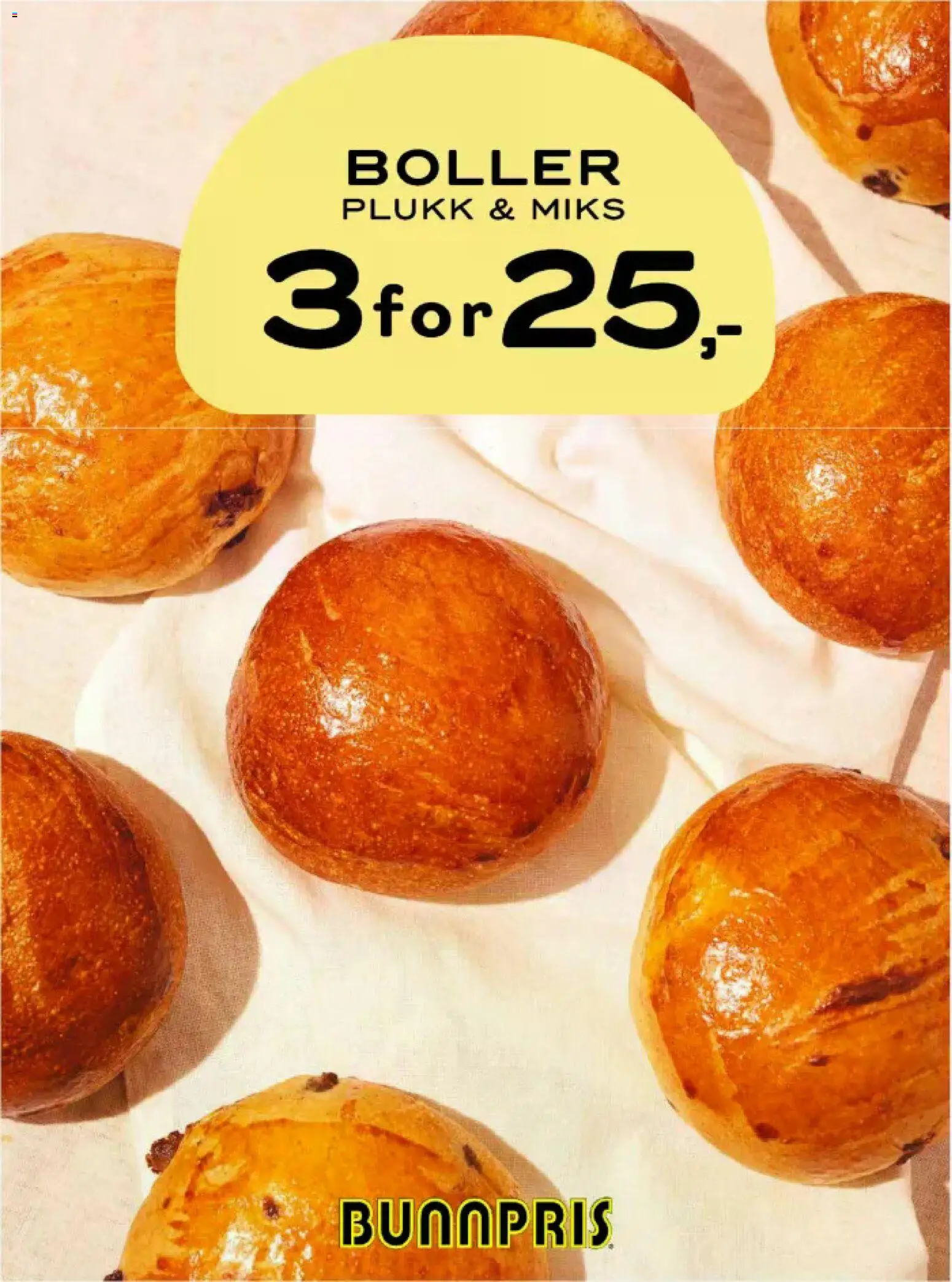 {H1} | Side: 19 | Produkter: Boller