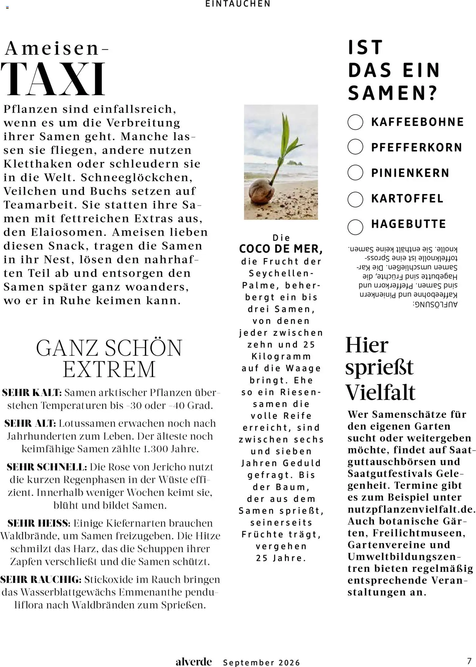dm drogerie Prospekt – gültig ab 01.09.2026 | Seite: 7