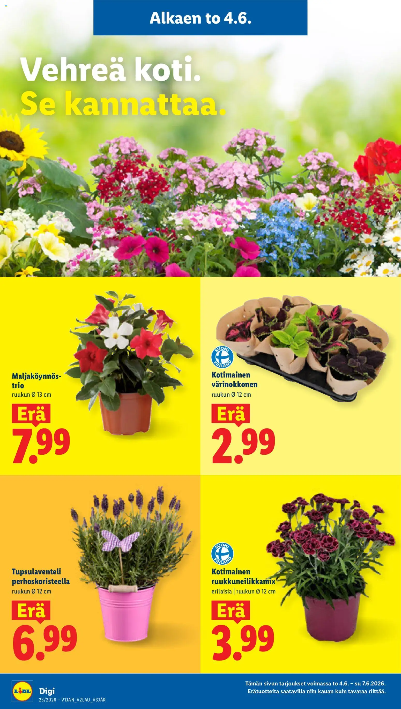 Lidl tarjoukset – voimassa 04.06.2026 alkaen | Sivu: 20