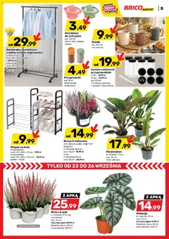 Pogląd oferty "Brico Marché gazetka" - ważna od 23.09.2026 | Strona: 7 | Produkty: Buty, Wrzos, Półka, Doniczki