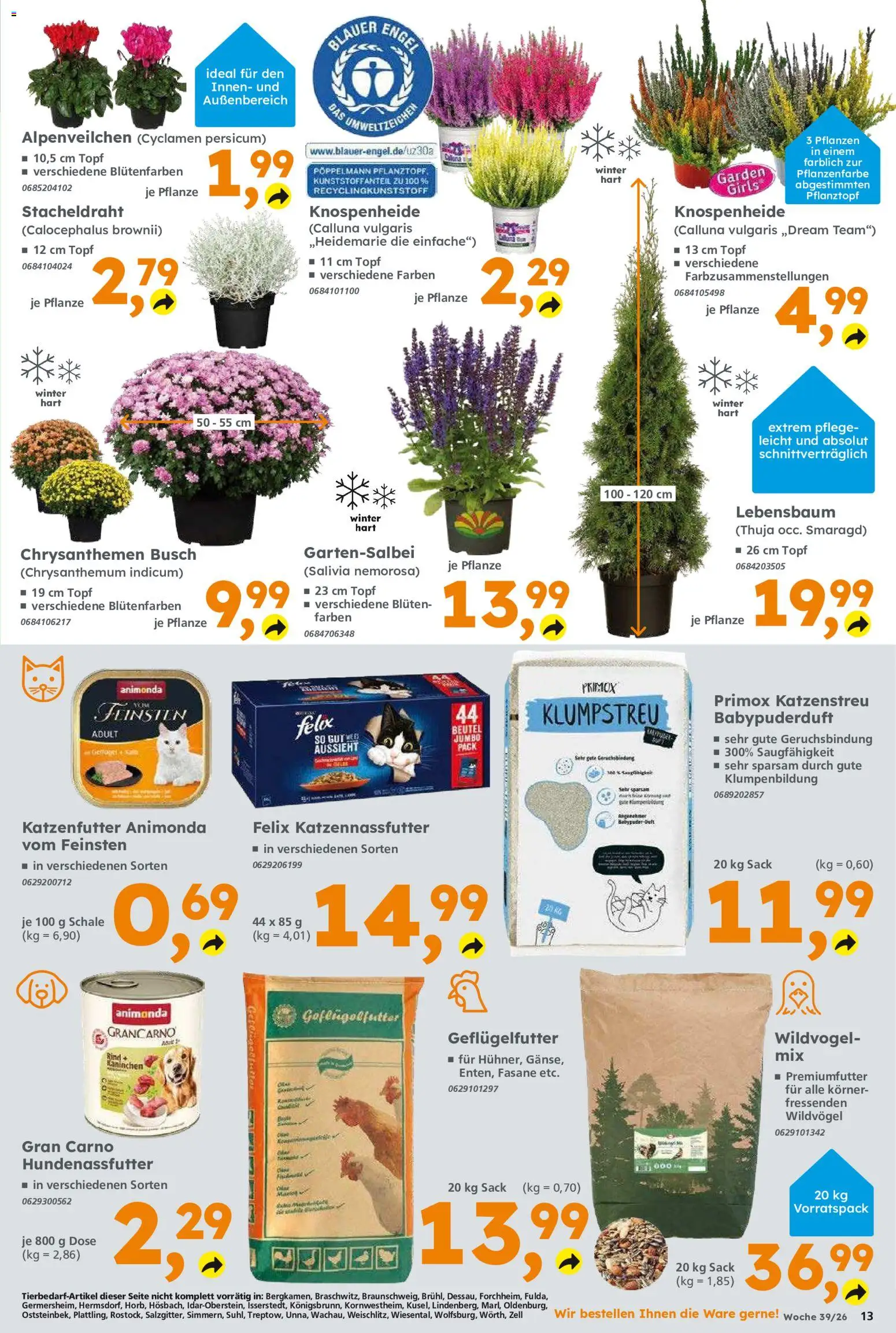 Globus Baumarkt Prospekt – gültig ab 20.09.2026 | Seite: 13