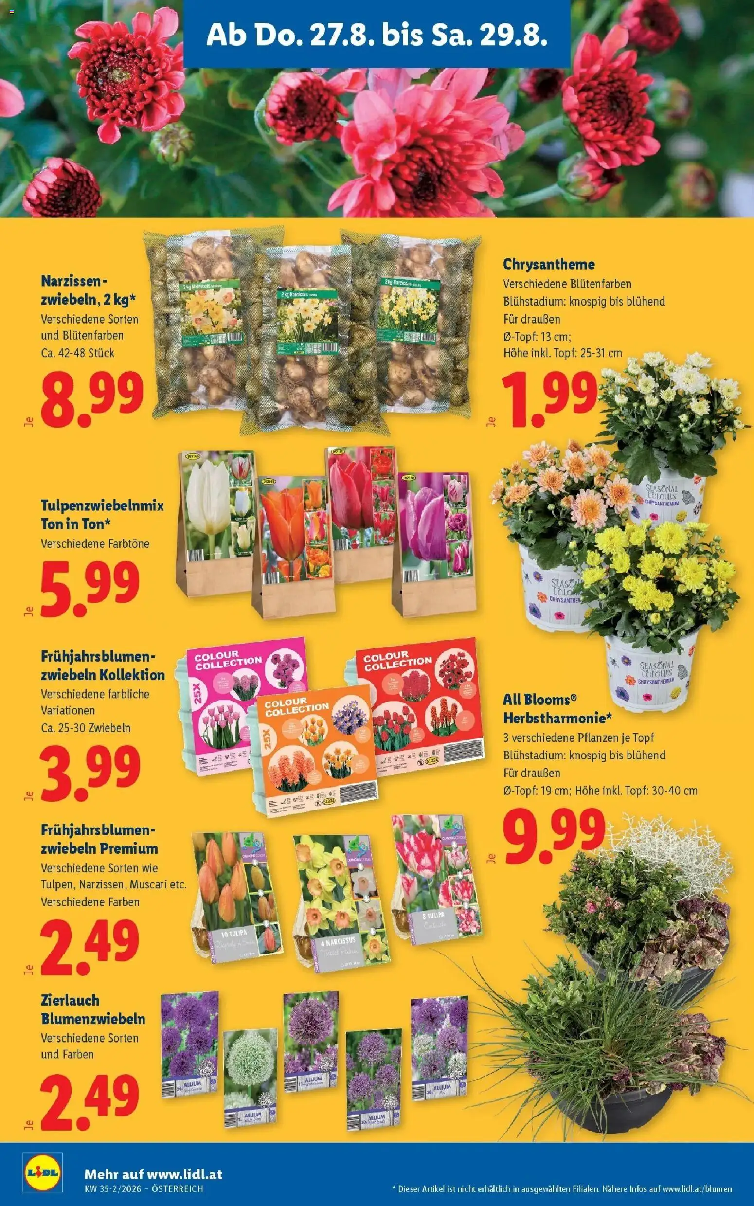 Lidl Flugblatt - Wien ab 23.08.2026 - Angebote ab donnerstag | Seite: 26 | Produkte: Zwiebeln