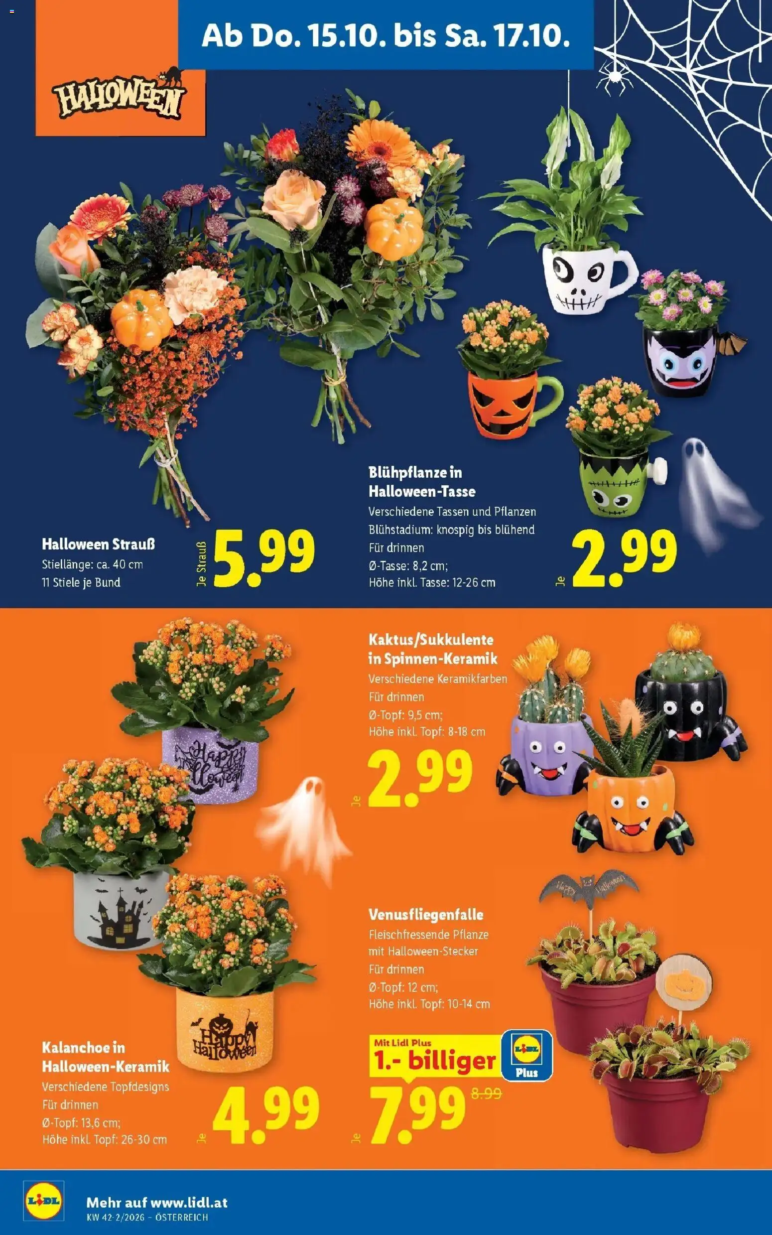 Lidl Flugblatt - Jenbach ab 11.10.2026 - Angebote ab donnerstag | Seite: 24