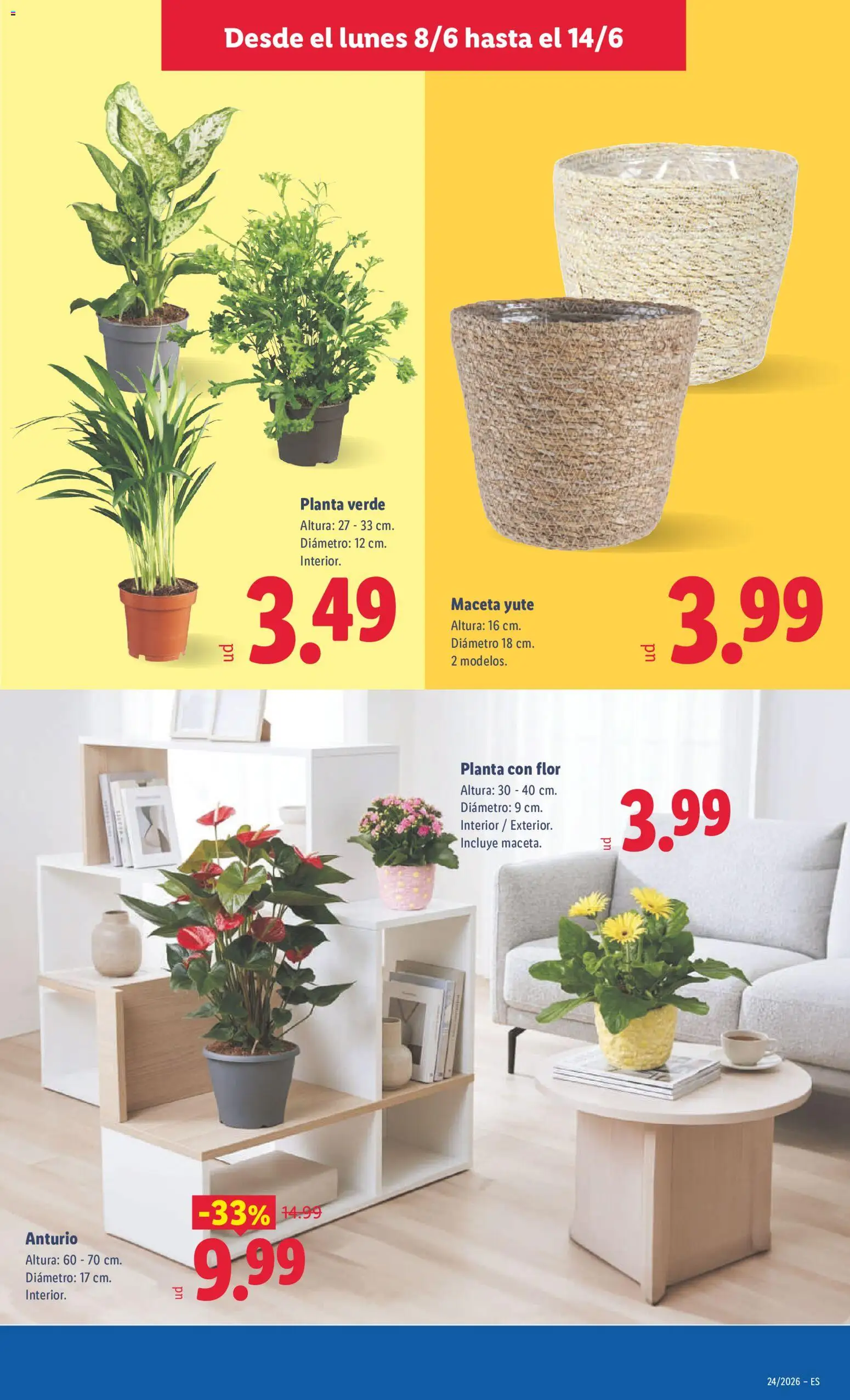 Lidl folleto │ válido desde el 08.06.2026 | Página: 51 | Productos: Maceta