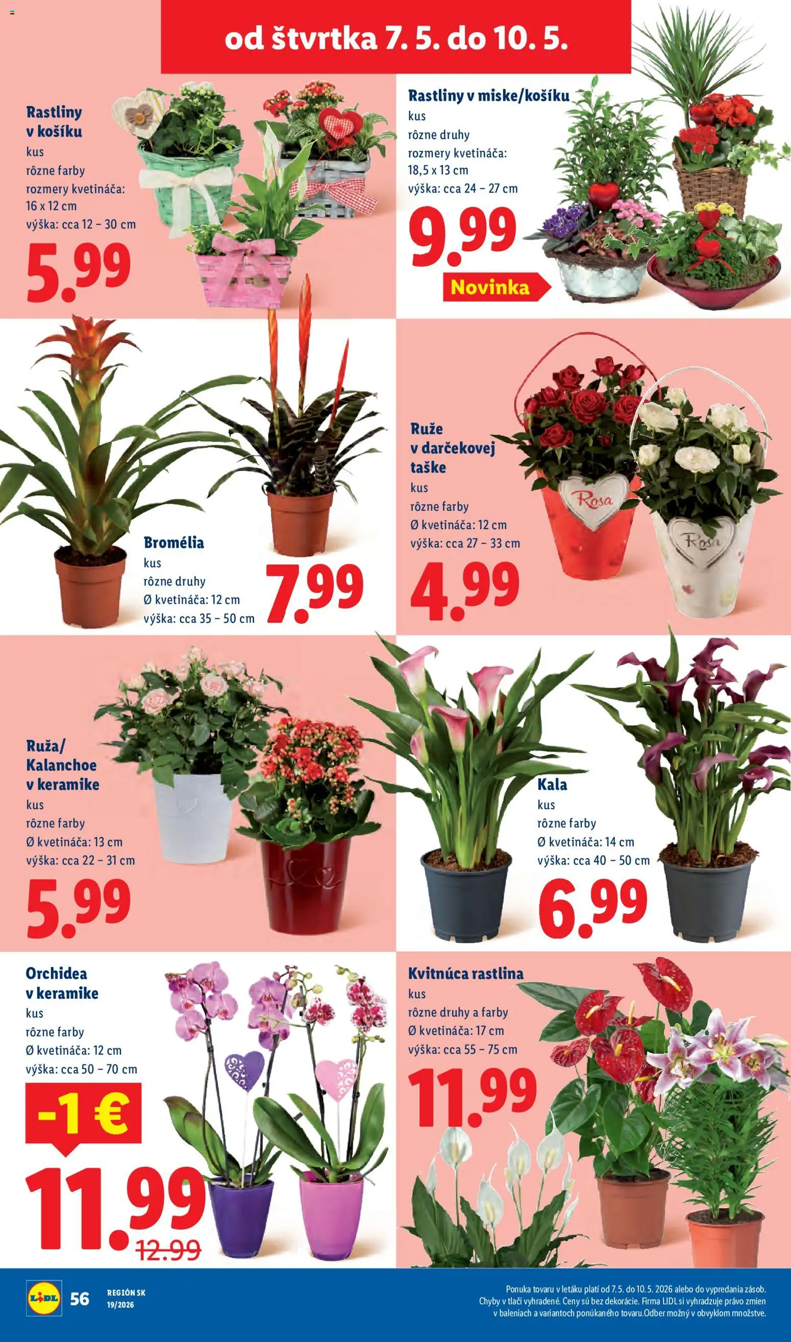 Nové Lidl akcie – leták je platný od 04.05.2026 | Strana: 68 | Produkty: Ruže, Orchidea