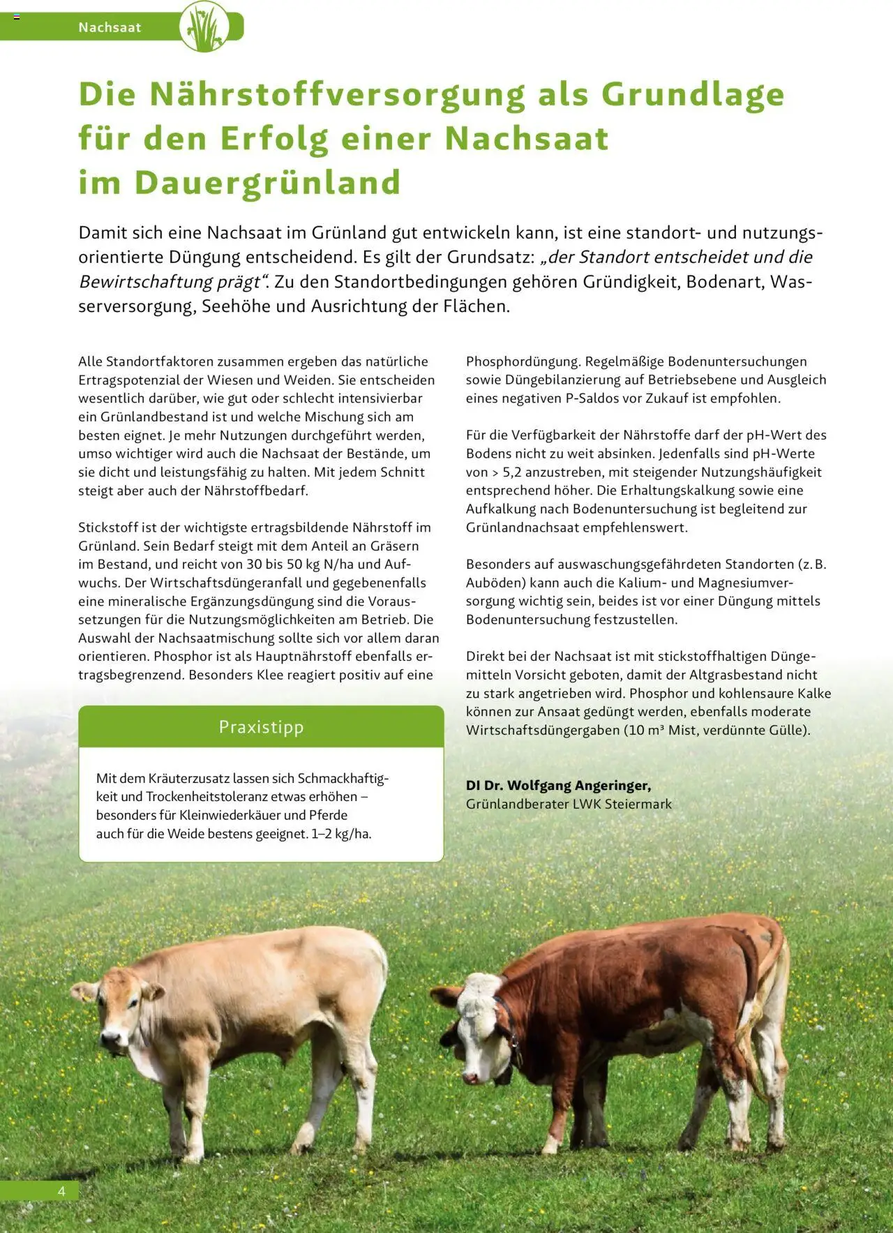 Lagerhaus Fachblatt Nachsaat gültig ab 02.03.2023 | Seite: 4