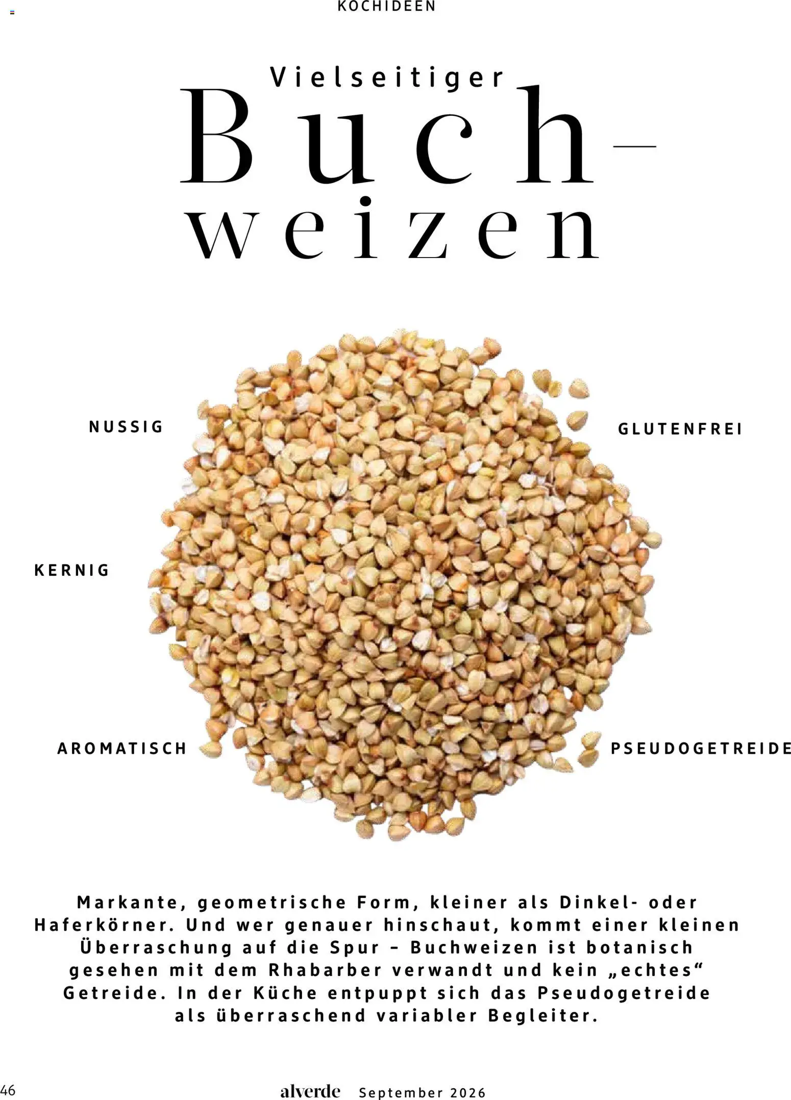 dm drogerie Prospekt – gültig ab 01.09.2026 | Seite: 46 | Produkte: Küche, Rhabarber