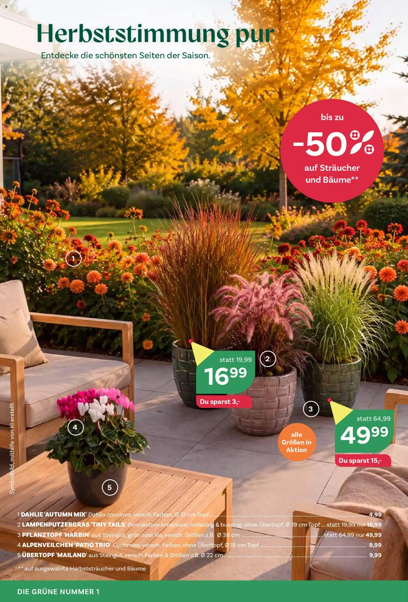 bellaflora Eröffnung Schwechat gültig ab 10.09.2026 | Seite: 4