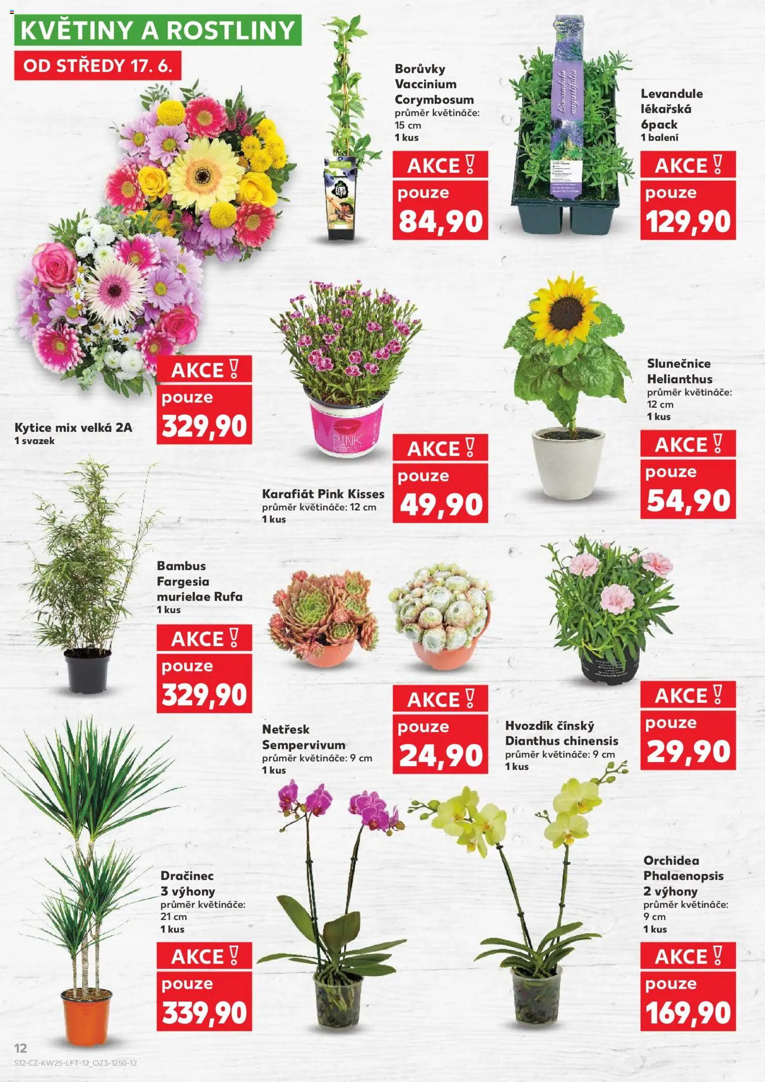 Kaufland leták od 17.06.2026 | Strana: 12 | Produkty: Květináče, Rostliny, Kytice, Květiny