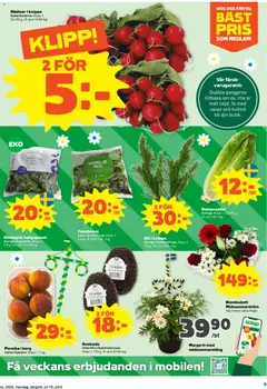 Stora Coop erbjudanden - Förhandsvisning av reklamblad från butik Stora Coop aktuell från 15.06.2026 | Sida: 9
