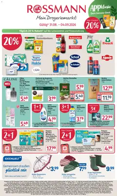 Rossmann Prospekt ab 31.08.2026 gültig