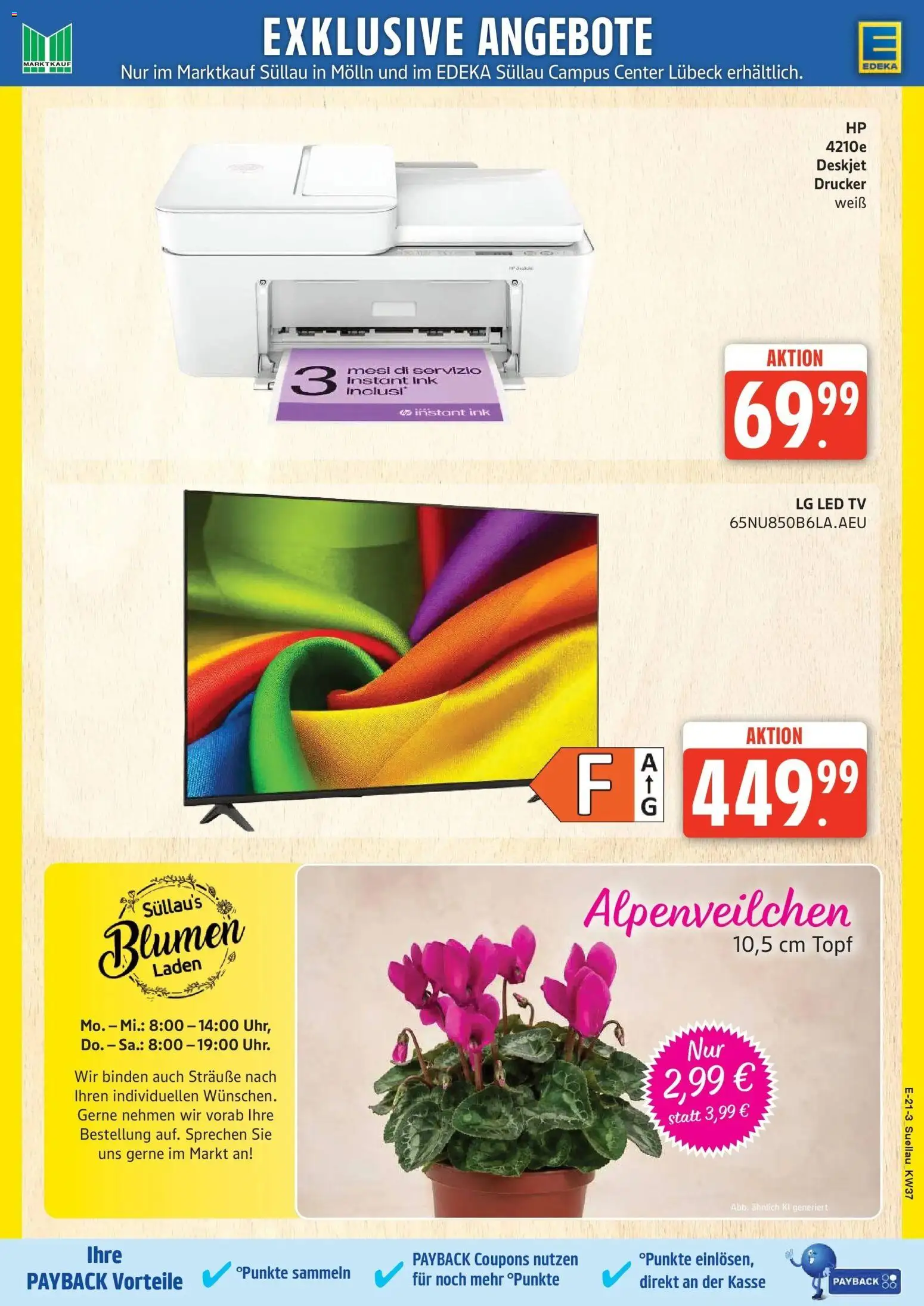 Marktkauf Prospekt Mölln (ab 07.09.2026) » Angebote online | Seite: 26 | Produkte: LG, Blumen, Drucker, TV