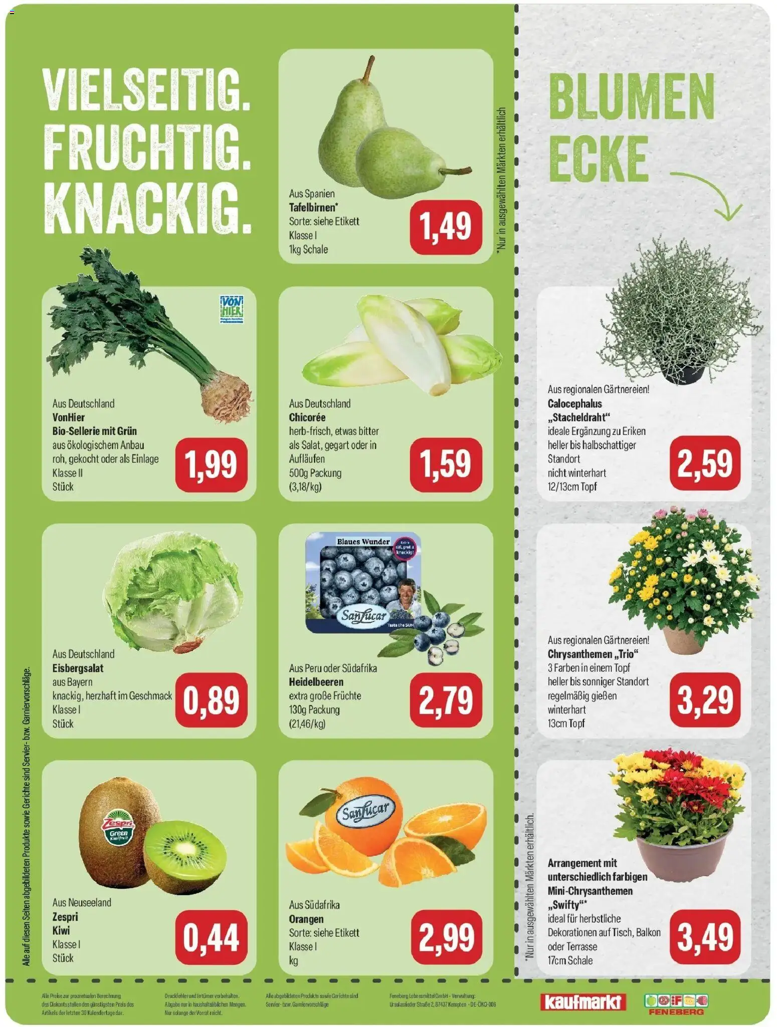 Feneberg Aktuelle Angebote (ab 24.09.2026) zum Blättern | Seite: 8 | Produkte: Blumen, Heidelbeeren, Gerichte, Kiwi