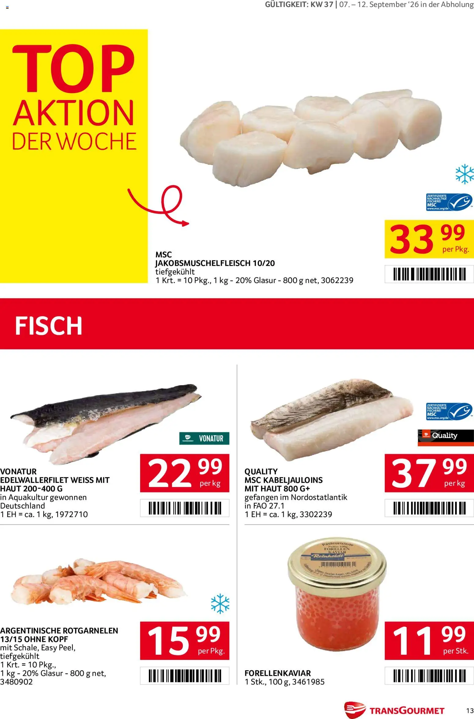 Transgourmet Flugblatt gültig ab 07.09.2026 | Seite: 13 | Produkte: Fisch