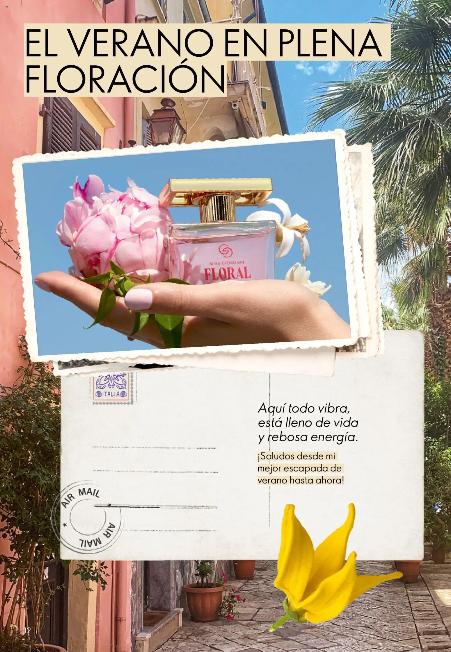 Oriflame - Catálogo Campaña 10 │ válido desde el 15/07/2026 | Página: 12