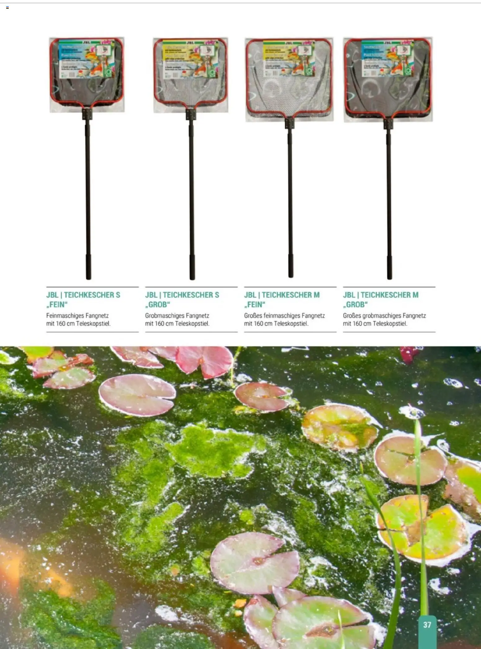 zookauf Themenkatalog Teich – gültig ab 23.03.2026 | Seite: 37