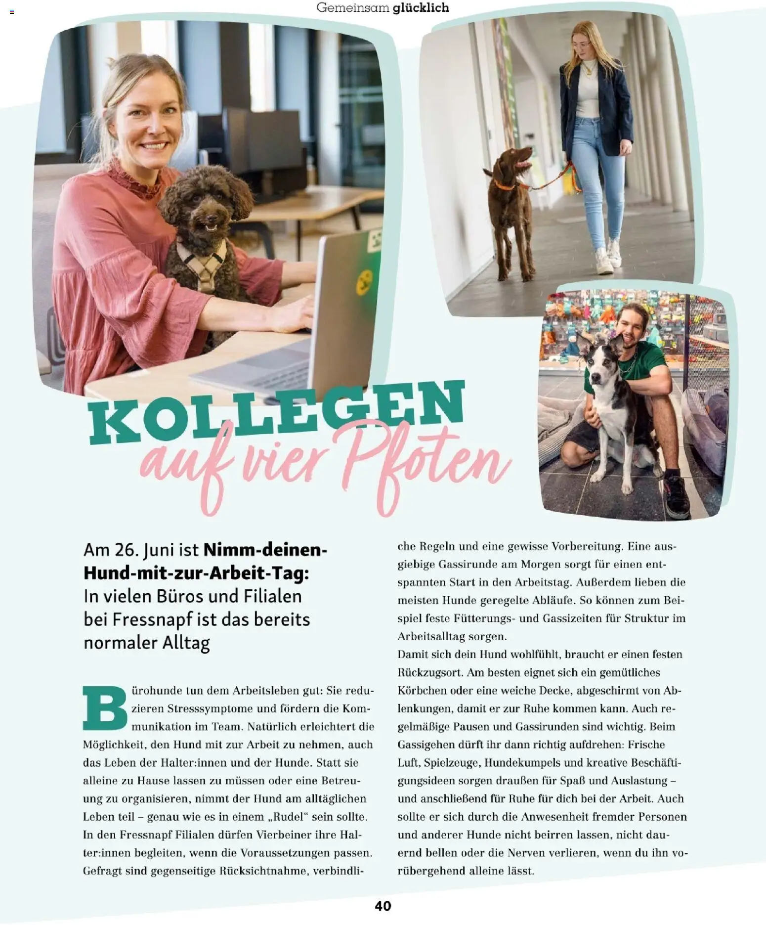 Fressnapf Friends 03/26 gültig ab 01.05.2026 | Seite: 40 | Produkte: Spiel