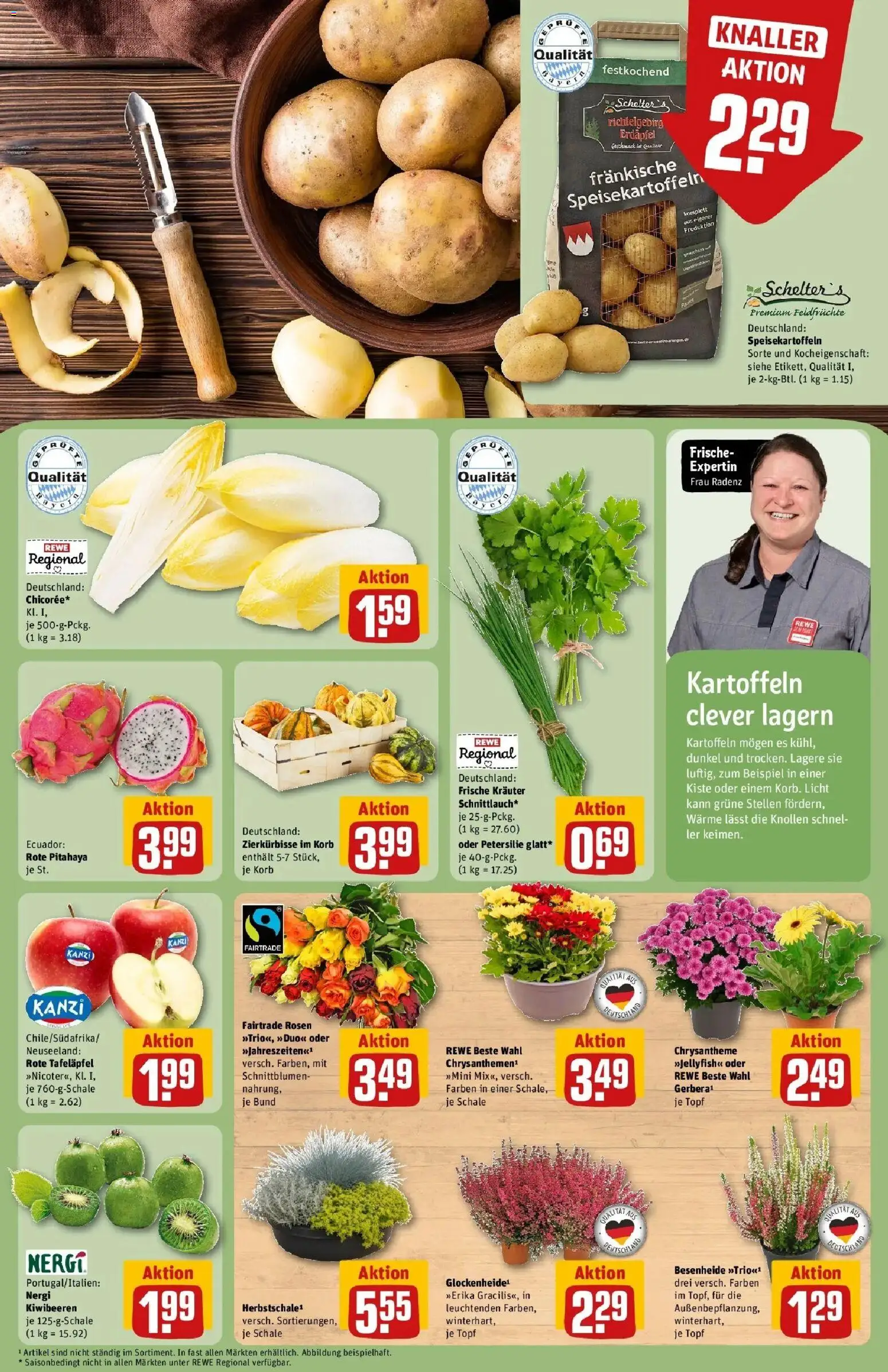 REWE Prospekt ab 21.09.2026 zum Blättern » Angebote | Seite: 13 | Produkte: Korb, Kartoffeln, Petersilie