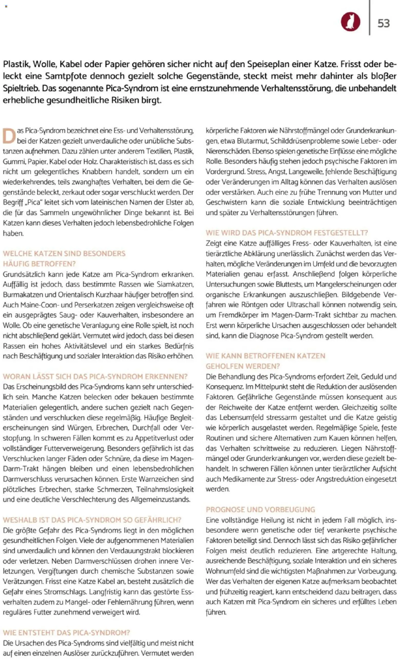 zookauf Heimtier Journal – gültig ab 01.07.2026 | Seite: 53 | Produkte: Kabel