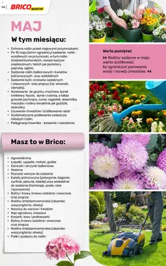 Pogląd oferty "Brico Marché gazetka - Wiosna" - ważna od 04.03.2026 | Strona: 126 | Produkty: Dynia, Nasiona, Doniczki, Kwiaty