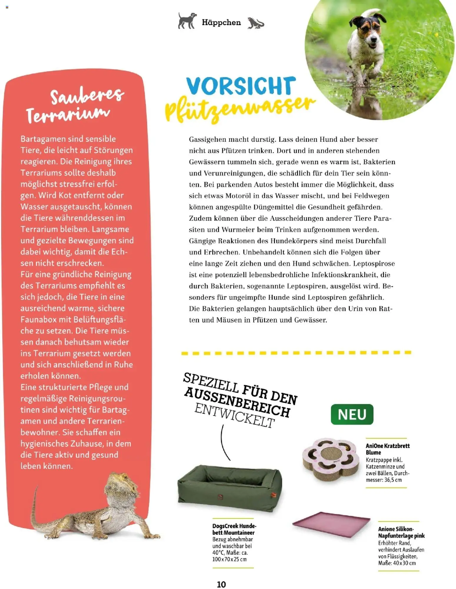 Fressnapf Friends 03/26 gültig ab 01.05.2026 | Seite: 10 | Produkte: Wasser, Bett