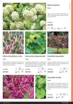 Náhled letáku Starkl katalog od 25.02.2026 | Strana: 43