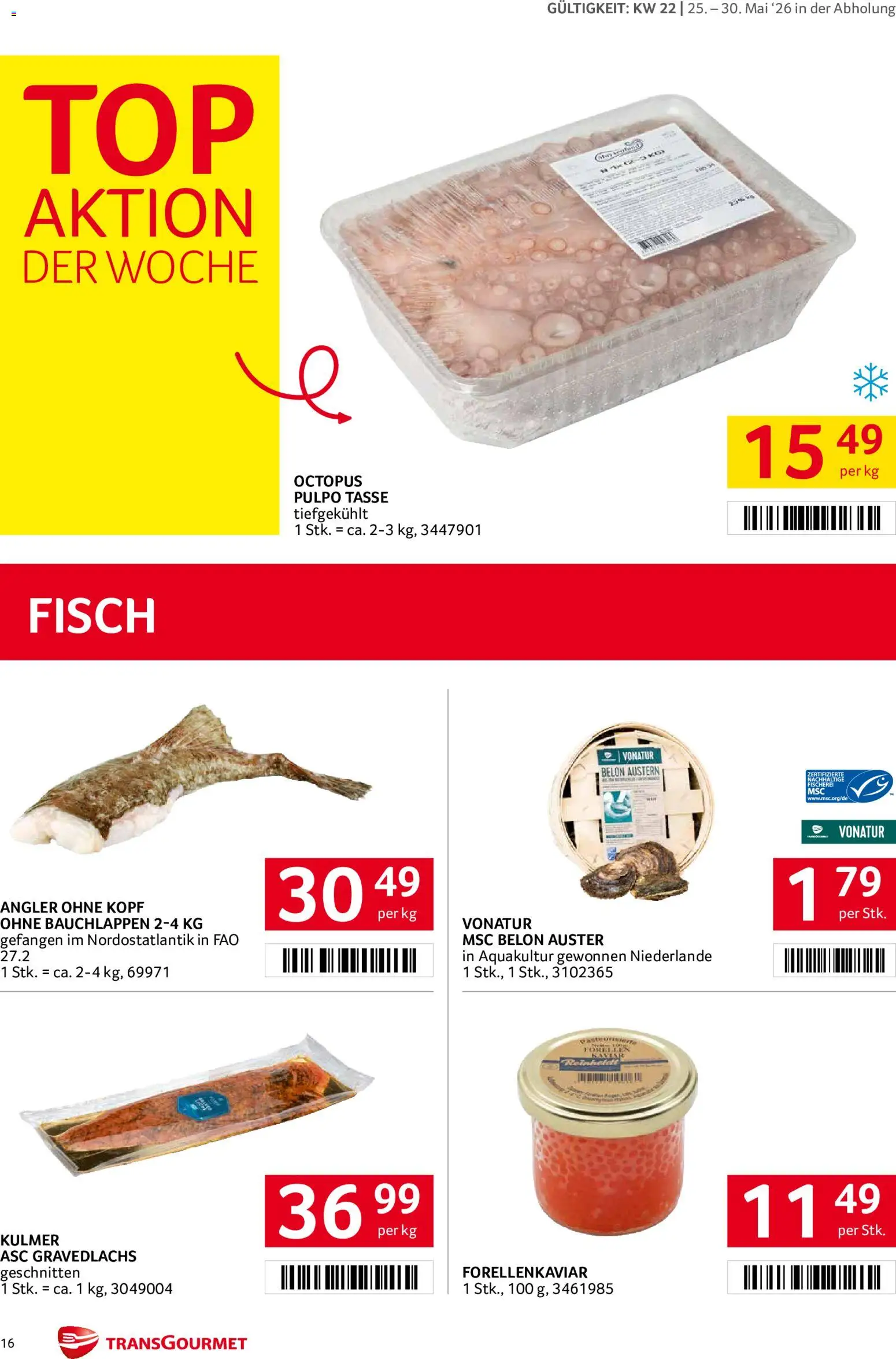 Transgourmet Flugblatt gültig ab 25.05.2026 | Seite: 16 | Produkte: Fisch