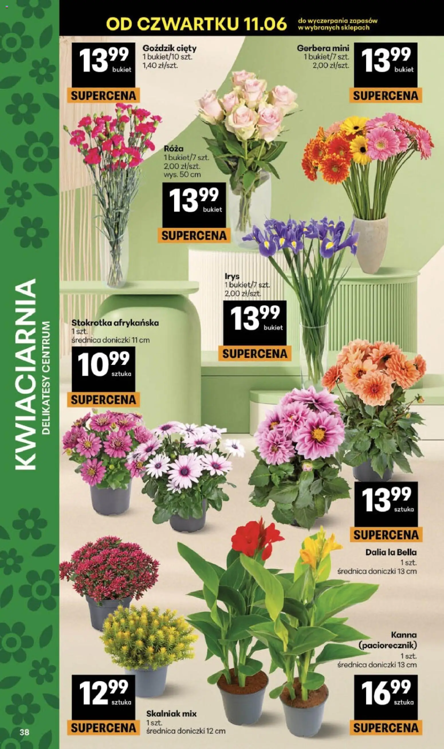 Delikatesy Centrum gazetka - Sklepy Własne od 11.06.2026 | Strona: 38 | Produkty: Stokrotka, Goździk, Delikatesy, Doniczki