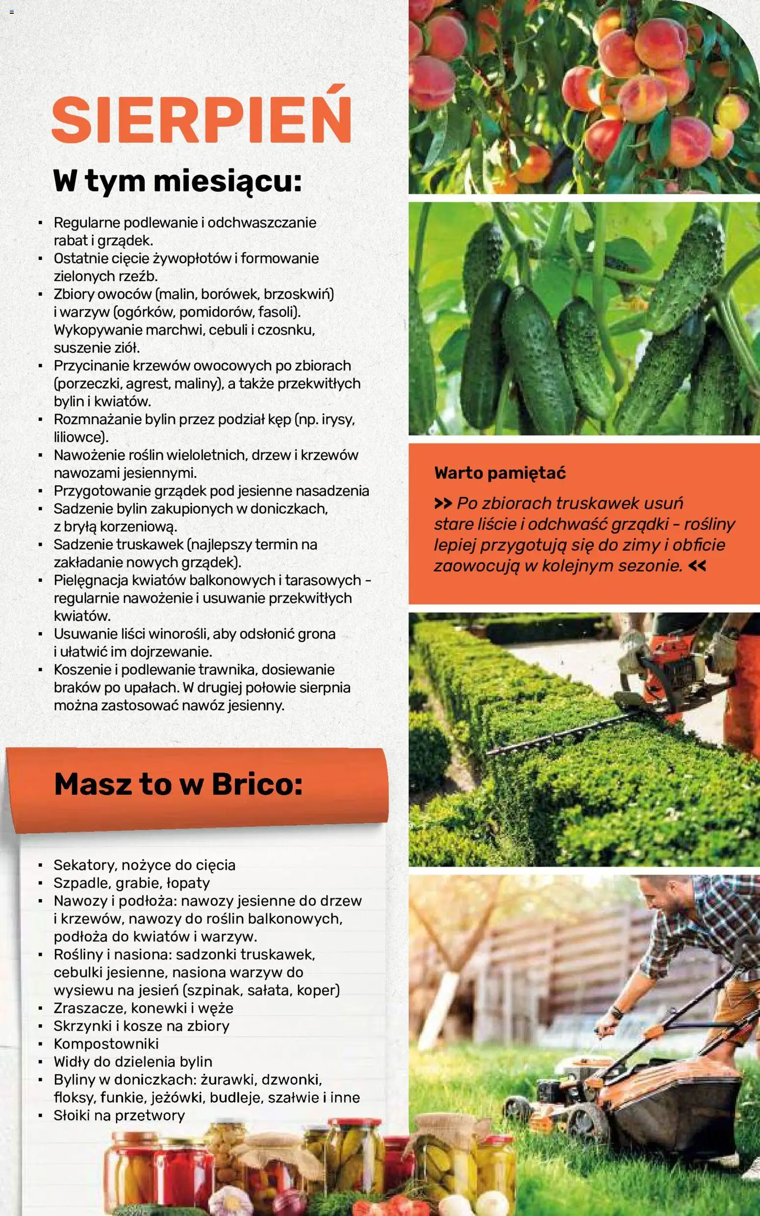 Brico Marché gazetka - Jesienne Inspiracje od 17.08.2026 | Strona: 107 | Produkty: Przetwory, Nasiona, Nawóz, Słoiki na przetwory