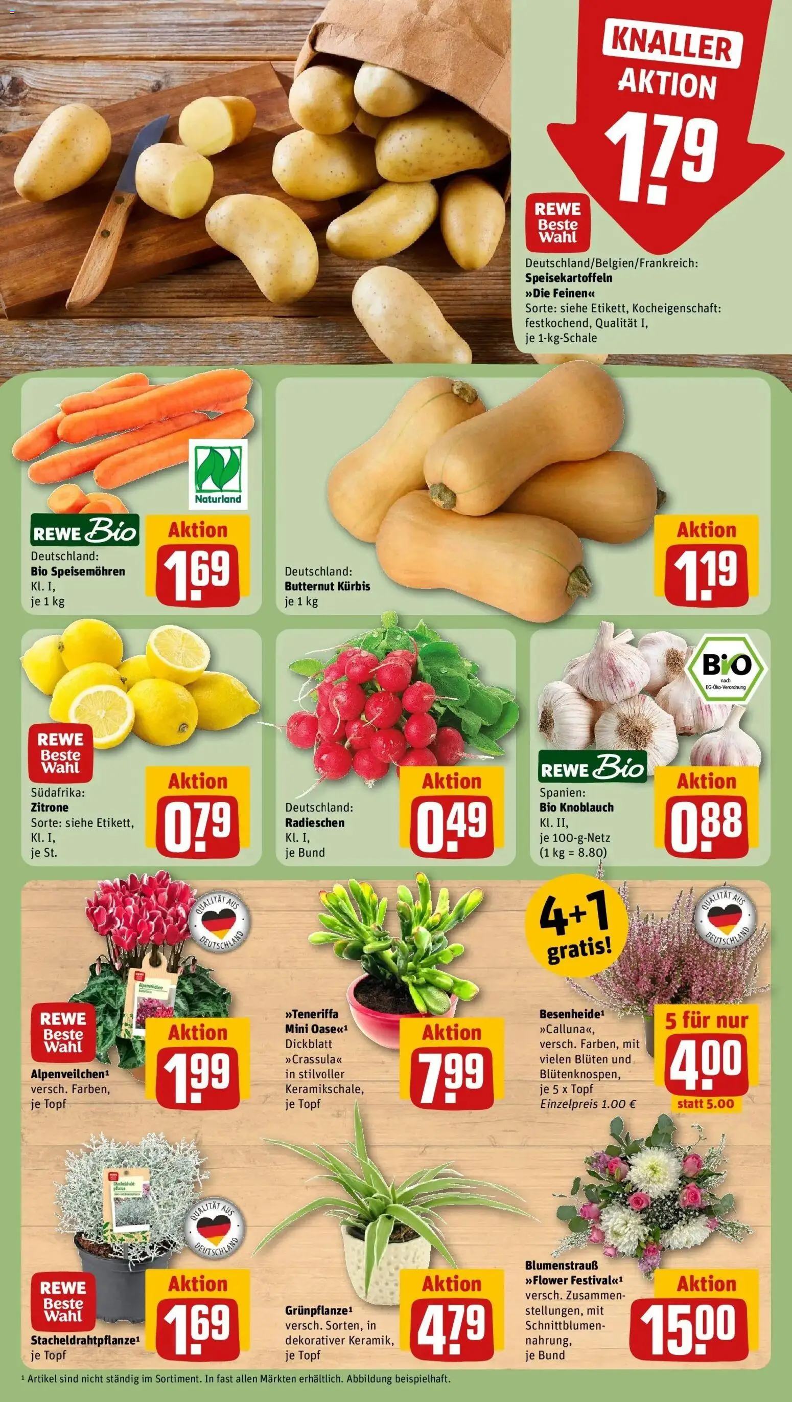 REWE Prospekt ab 05.10.2026 zum Blättern » Angebote | Seite: 9 | Produkte: Zitrone, Knoblauch, Kürbis