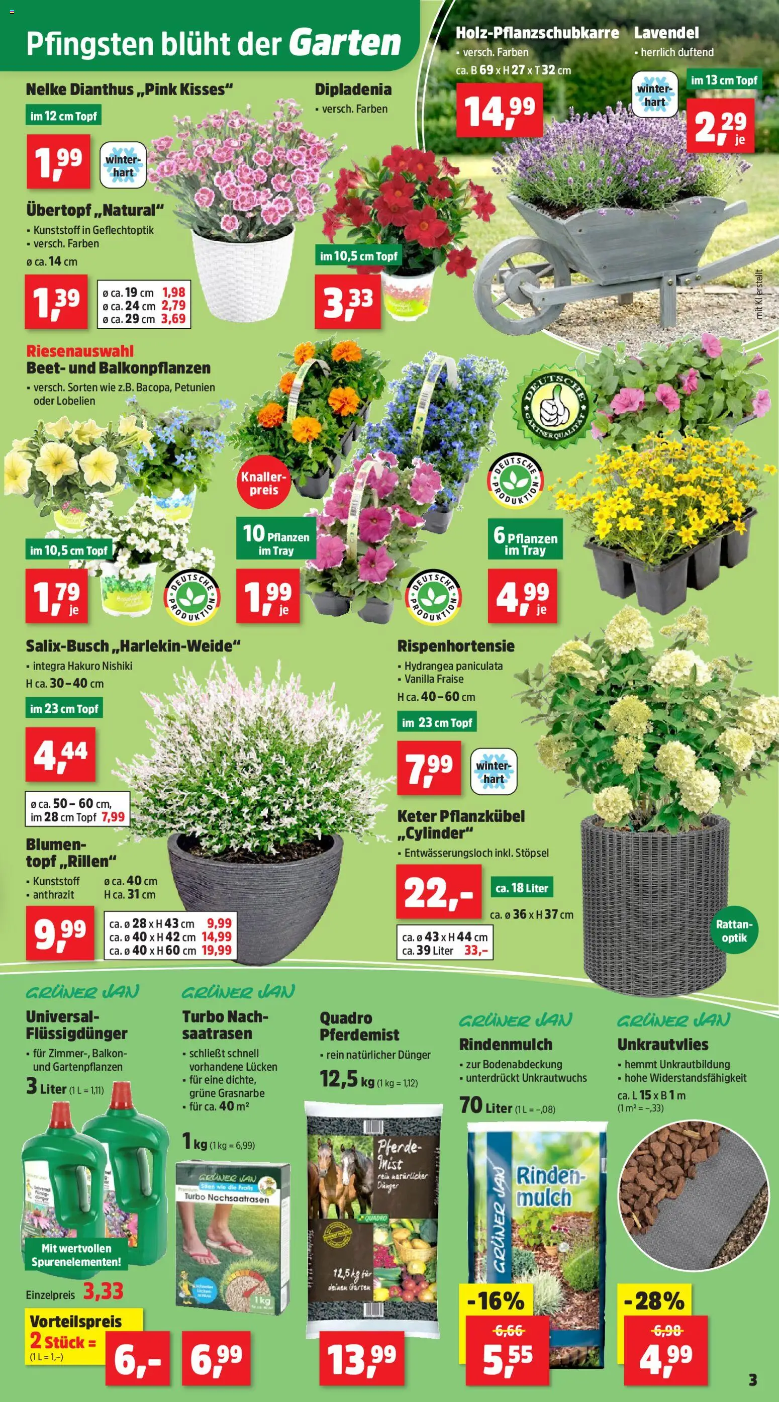 Thomas Philipps Prospekt – gültig ab 18.05.2026 | Seite: 5 | Produkte: Rindenmulch, Blumen, Lavendel