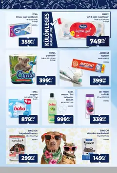 Goods Market akciós újság - amely érvényes a következő dátumtól: 2026.07.16. | Oldal: 3 | Termékek: Macskaeledel, Papírtörlő, Sampon, Tusfürdő