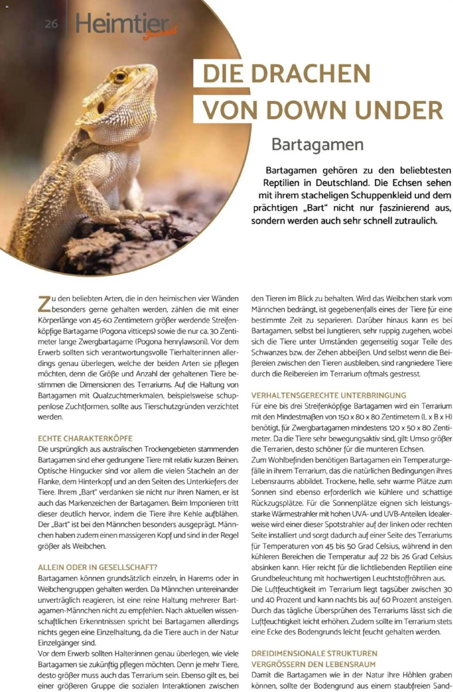zookauf Heimtier Journal – gültig ab 01.07.2026 | Seite: 26