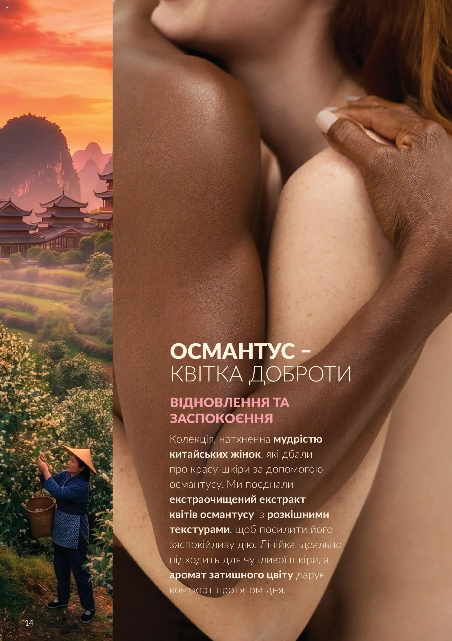AVON Kаталог - дійснийкції з 01.10.2026 | Сторінка: 14 | Товари: Аромат, Лінійка
