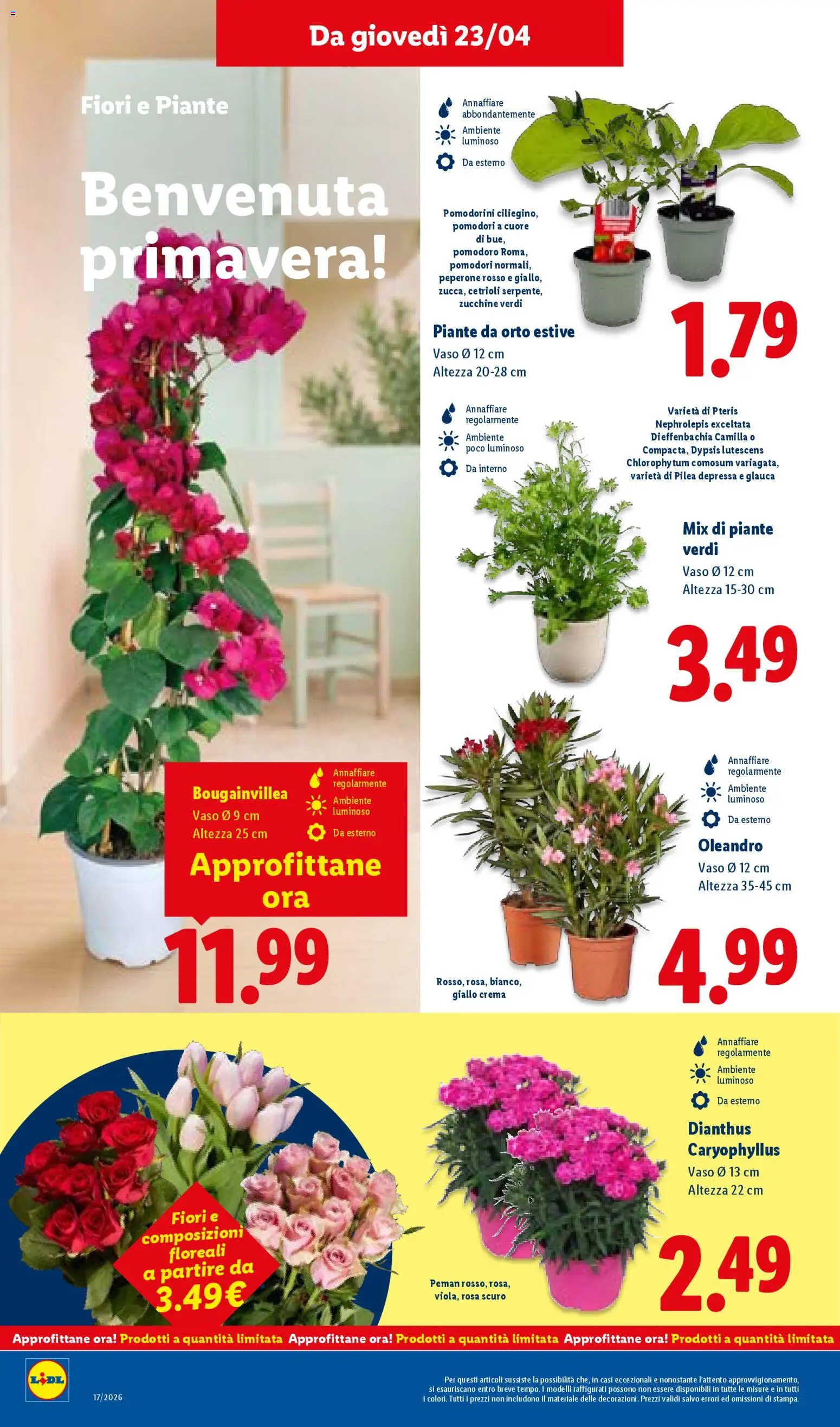 Volantino Lidl del 23.04.2026 | Pagina: 40 | Prodotti: Pomodorini, Crema, Pomodoro, Pomodori