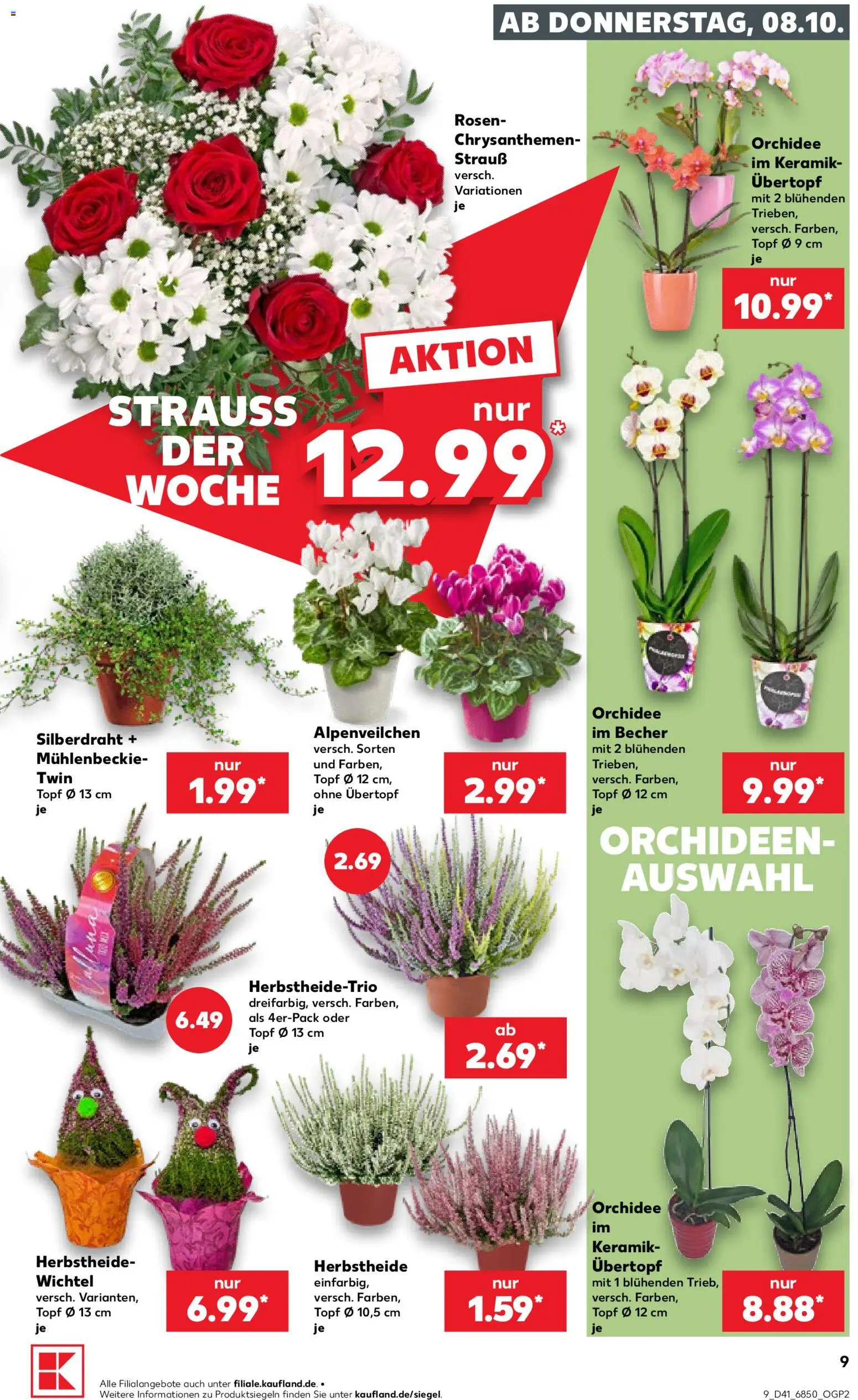 {H1} | Pagina: 9 | Producten: Orchidee