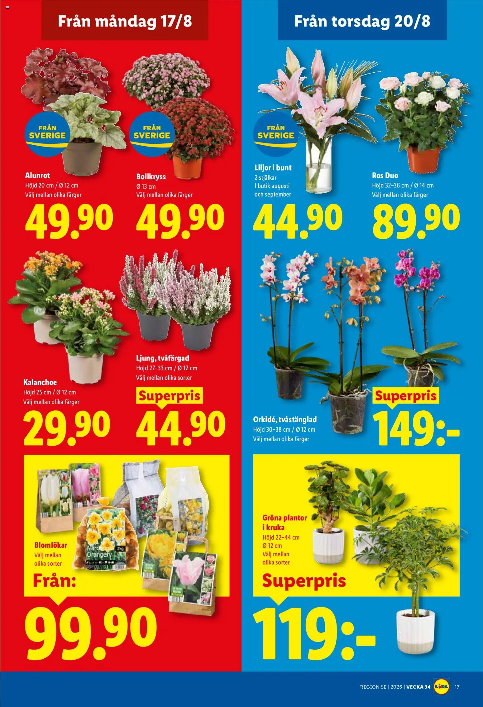 Lidl reklamblad aktuell från 17/08/2026 | Sida: 21 | Produkter: Kruka