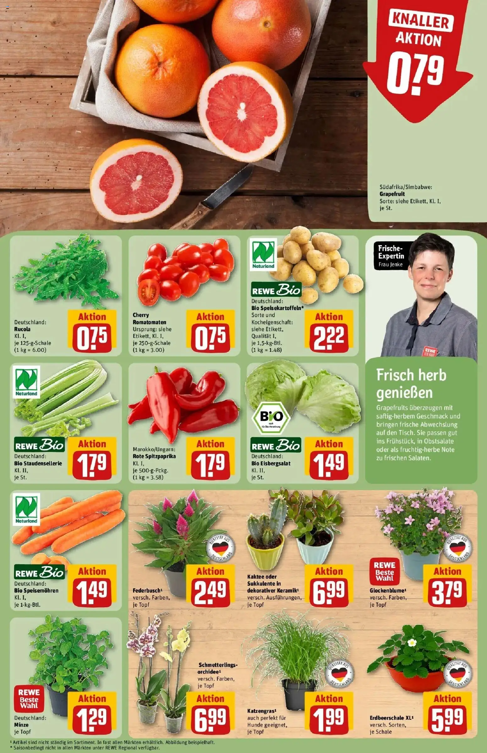 Rewe Prospekt Darmstadt – gültig ab 27.07.2026 | Seite: 7 | Produkte: Rucola, Eisbergsalat, Grapefruit