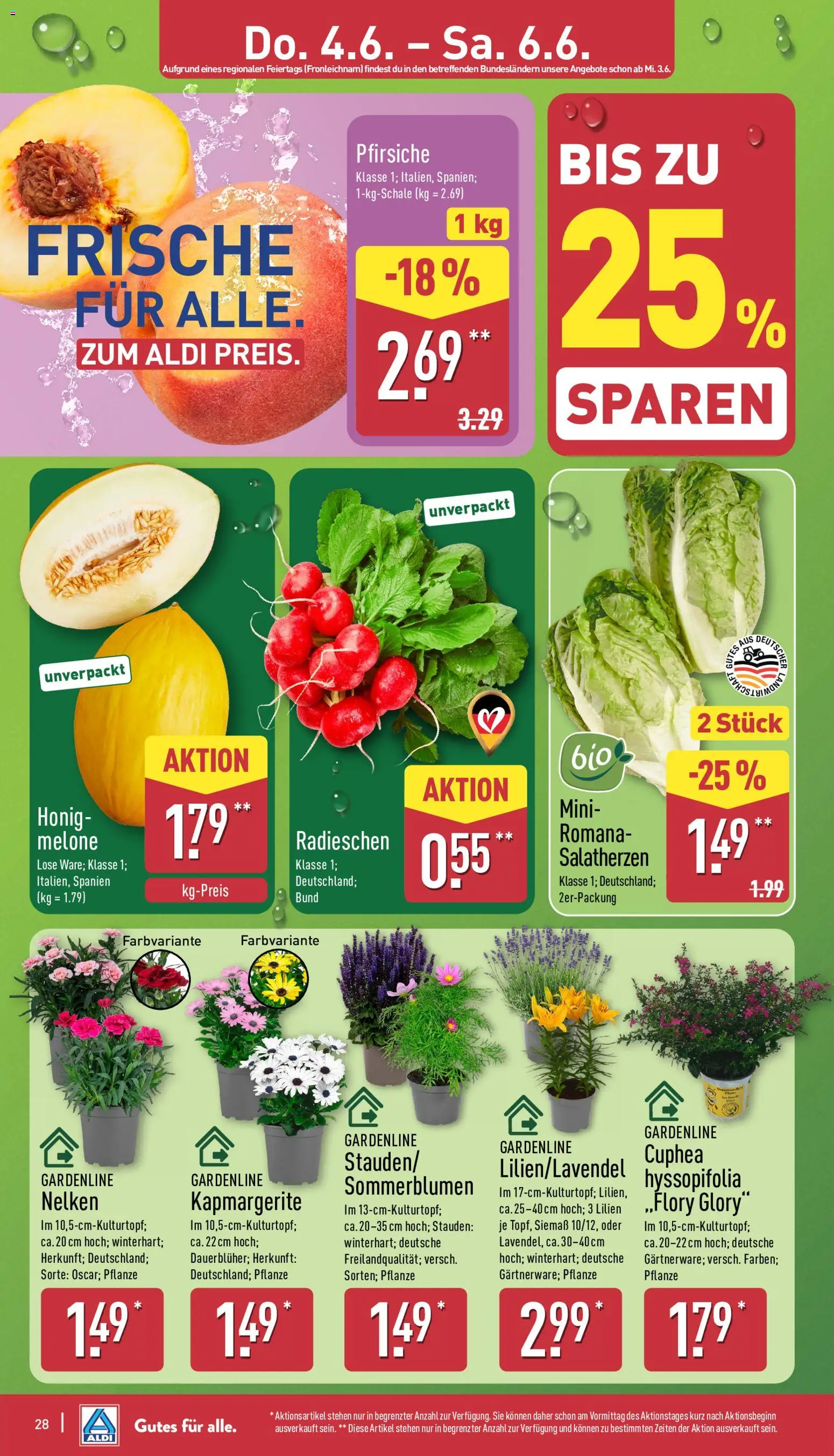 Aldi Prospekt – gültig ab 01.06.2026 | Seite: 28 | Produkte: Melone