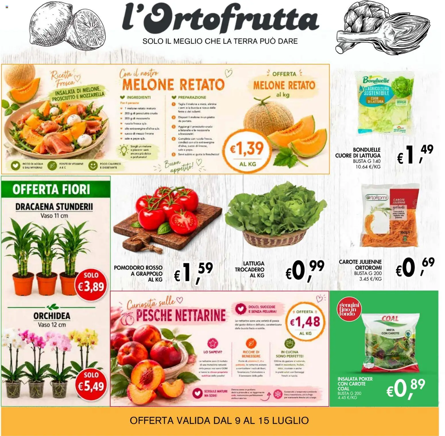 Volantino Coal del 02/07/2026 | Pagina: 3 | Prodotti: Acqua, Pepe, Melone, Terra